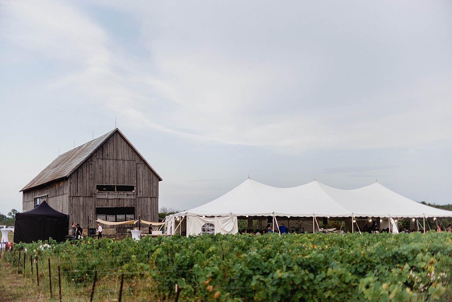 Large Wedding at The Old Third Winery | Prince Edward County Wedding Photographer | Holly McMurter Photographs_0162.jpg