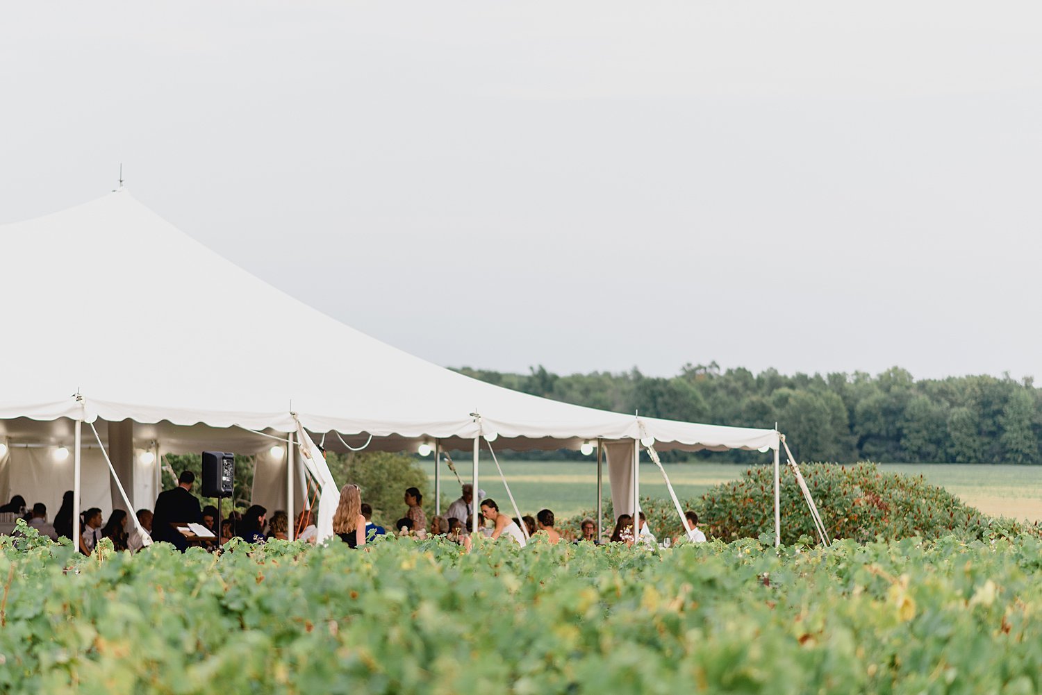 Large Wedding at The Old Third Winery | Prince Edward County Wedding Photographer | Holly McMurter Photographs_0163.jpg