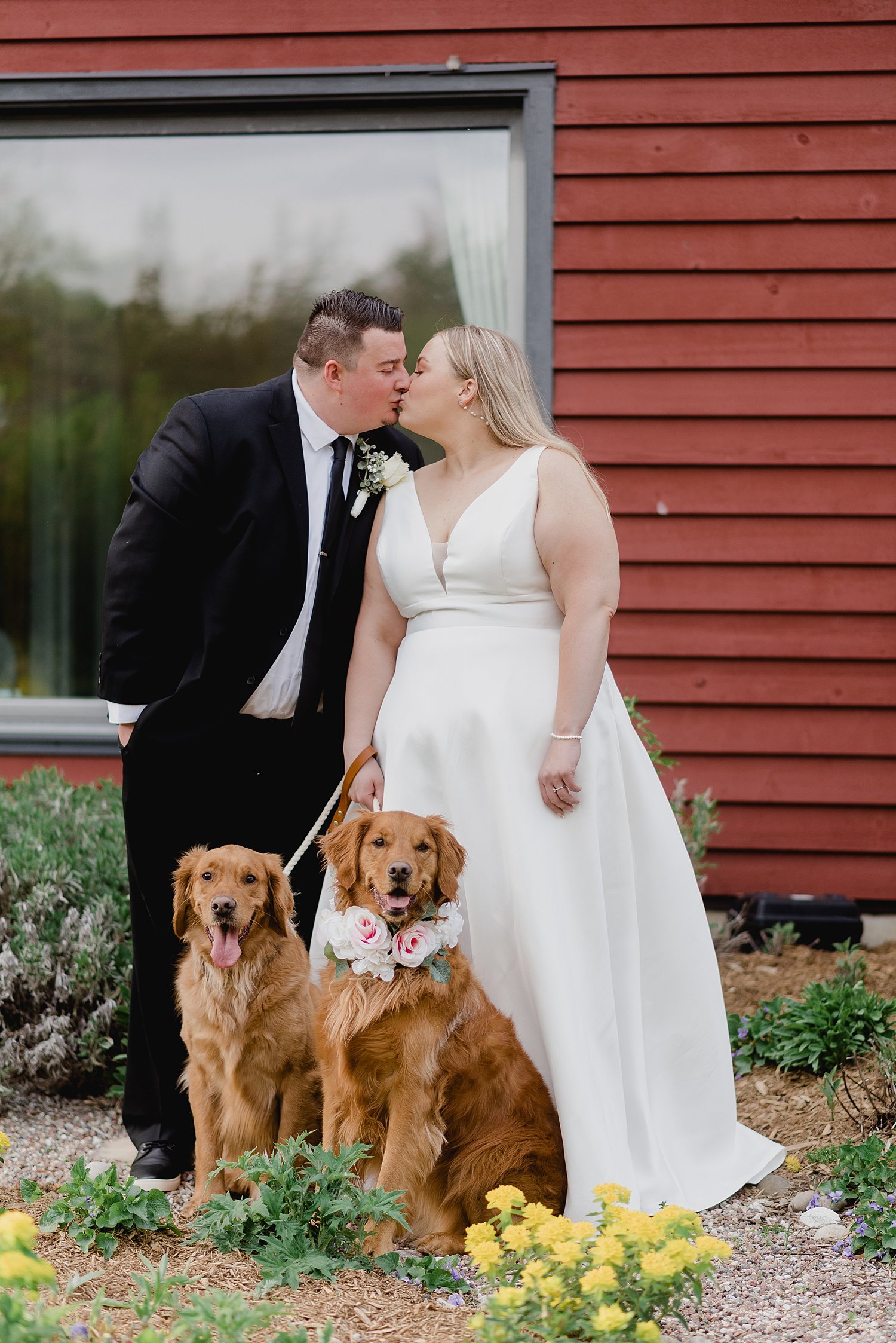 Intimate PEC Micro Wedding | Prince Edward County Wedding Photographer | Holly McMurter Photographs_0076.jpg