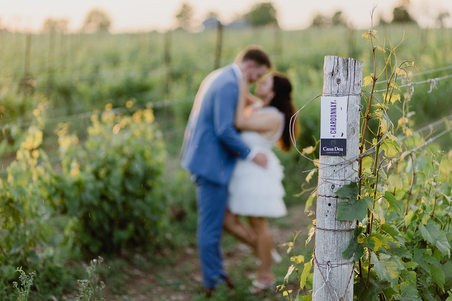 Casa Dea Winery Wedding in Prince Edward County | Prince Edward County Wedding Photographer | Holly McMurter Photographs_0118.jpg