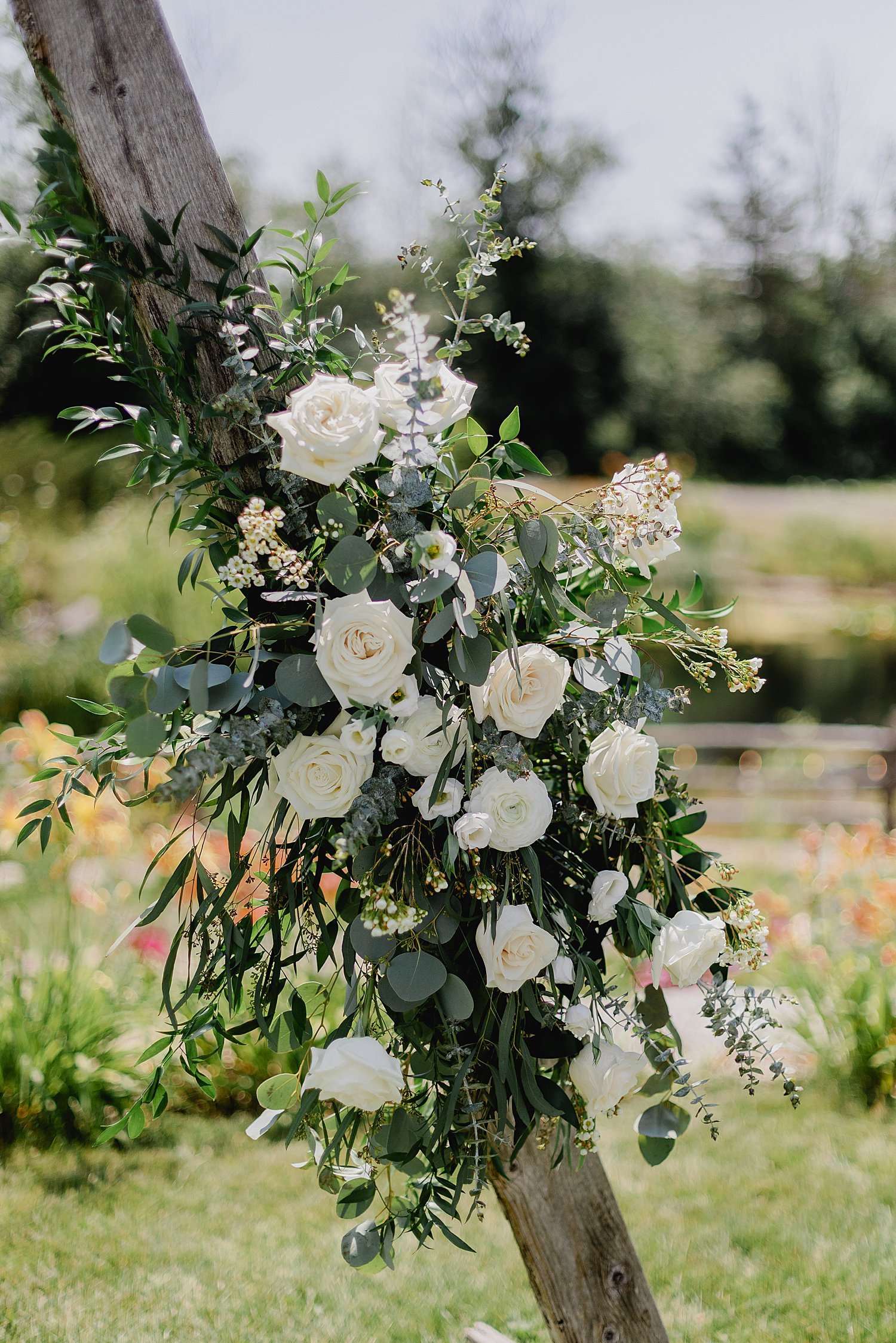 Cherryvale Wedding in Prince Edward County | Holly McMurter Photographs_0028.jpg