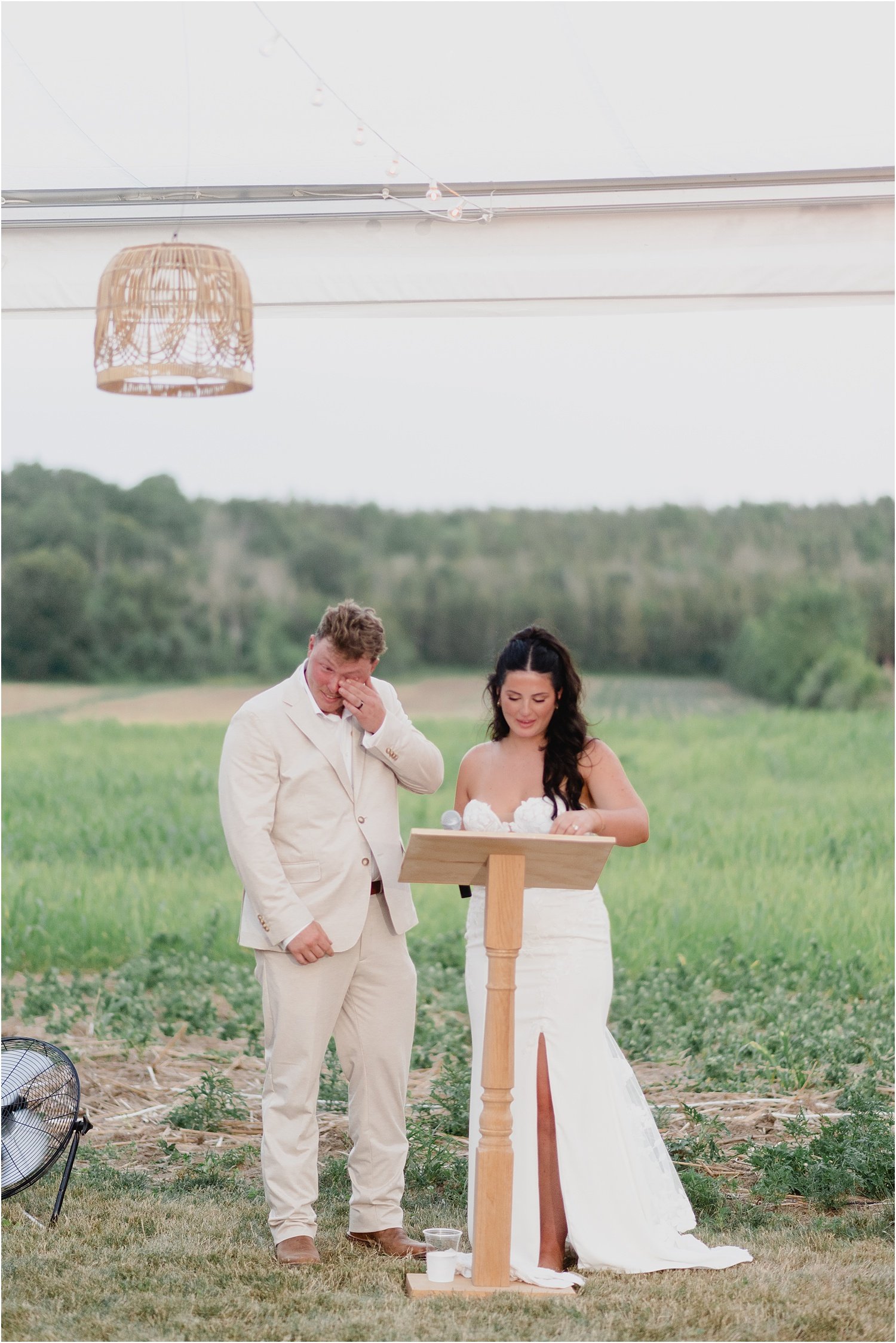 Prince Edward County backyard wedding reception speeches | Holly McMurter Photographs_0013.jpg
