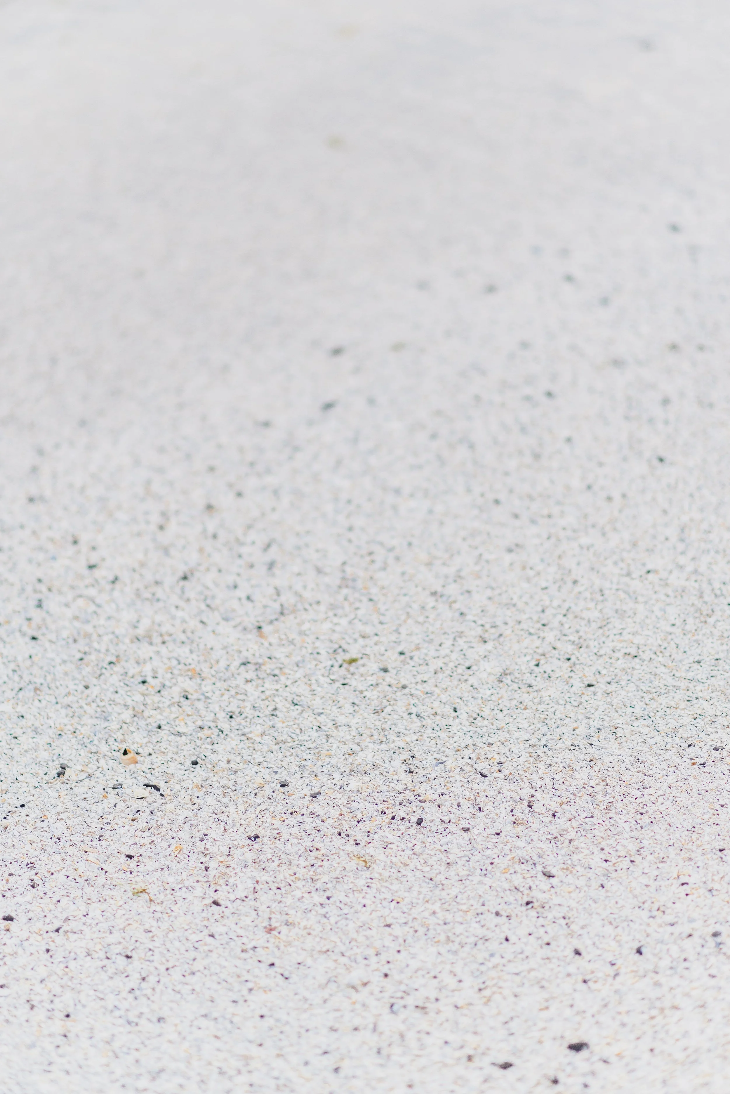 Prince Edward County Prints & Artwork.