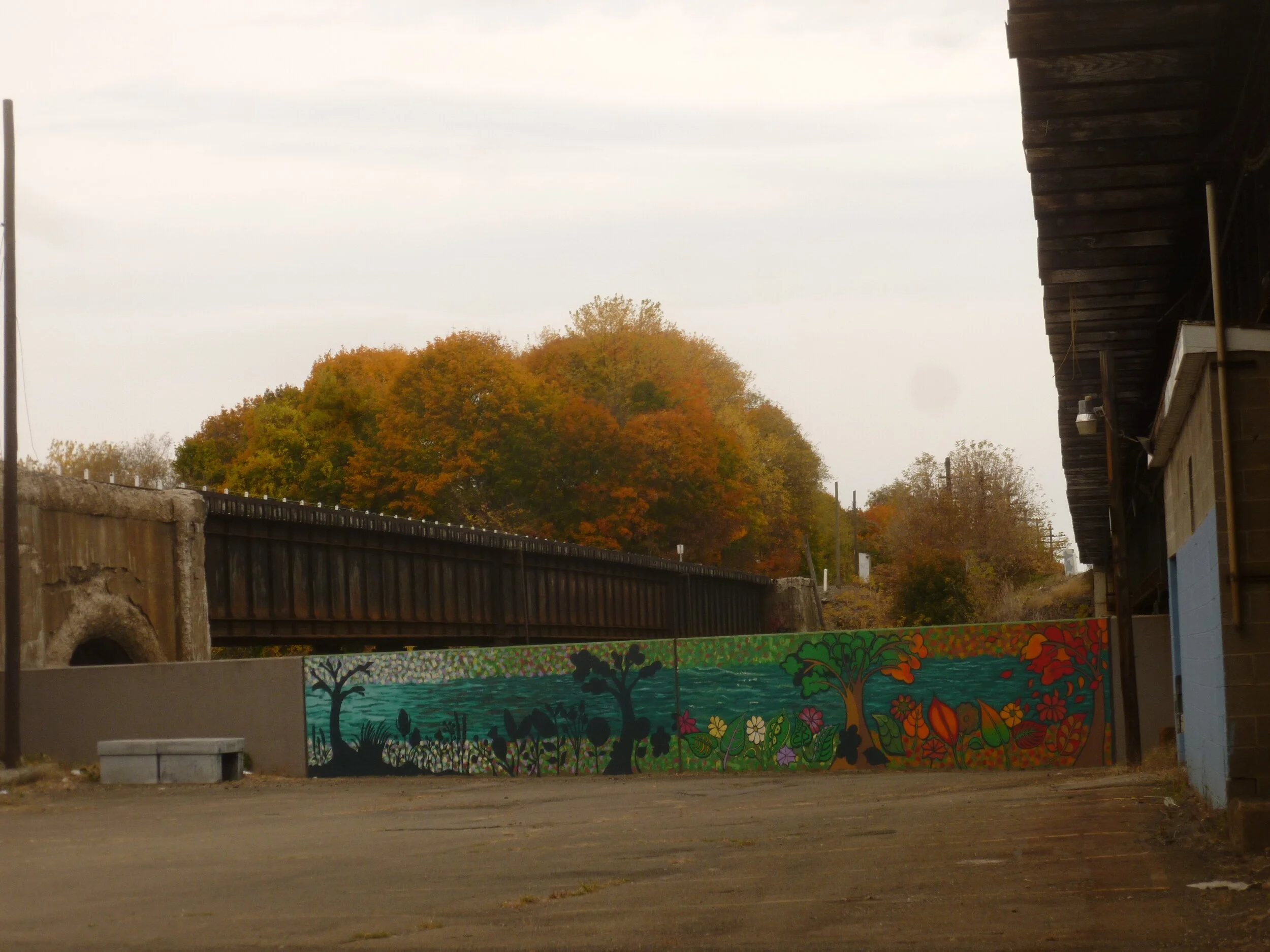 2015-10-26+Fall+foliage+c.jpeg