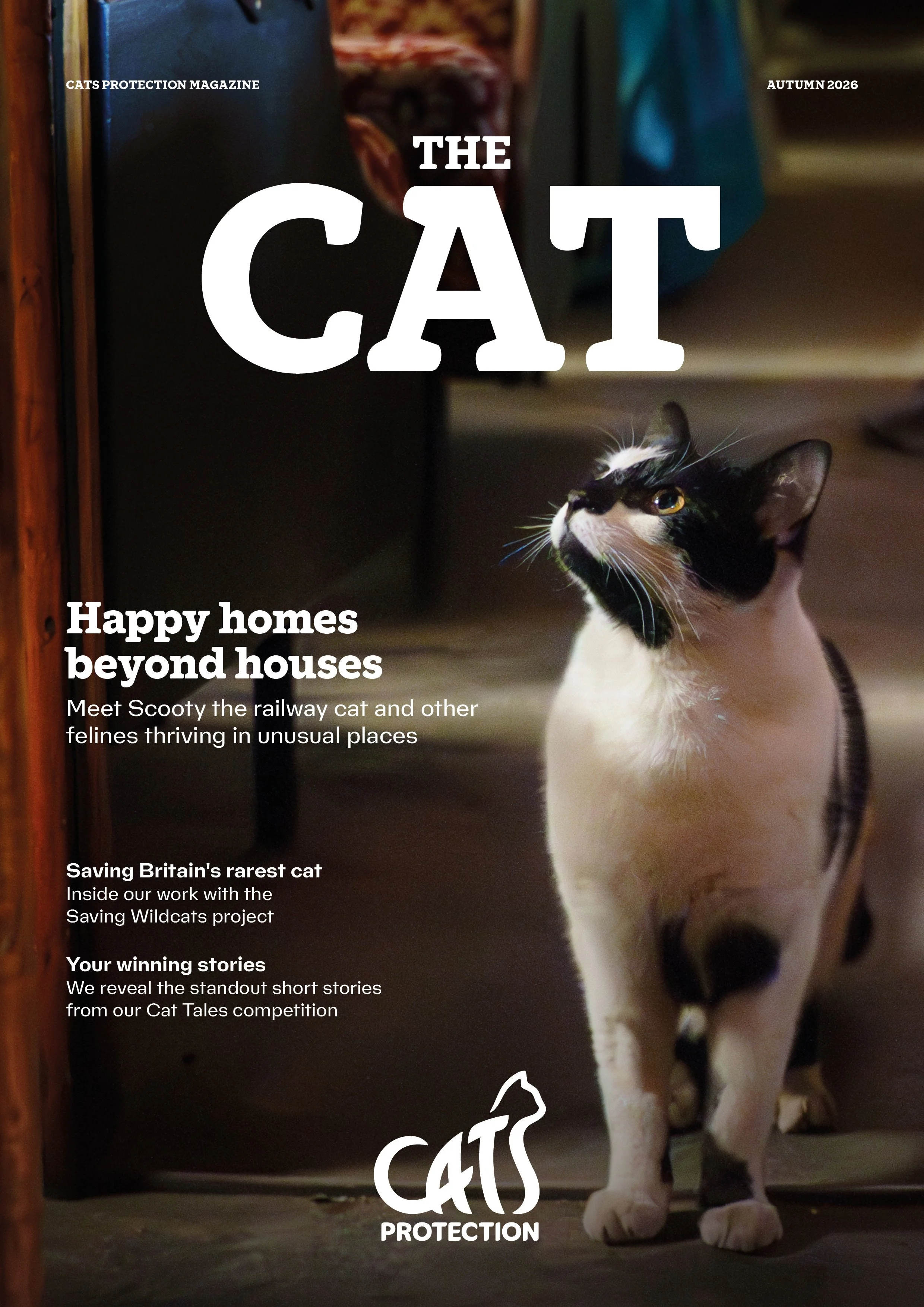 Cats Protection