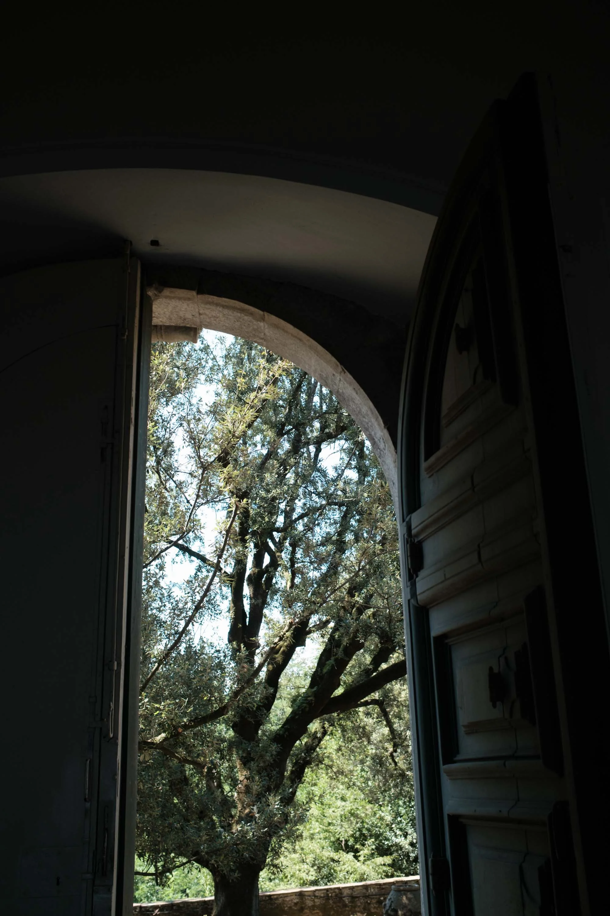 nicolas-denis-portfolio-tenuta-di-forci-2025-03.jpeg