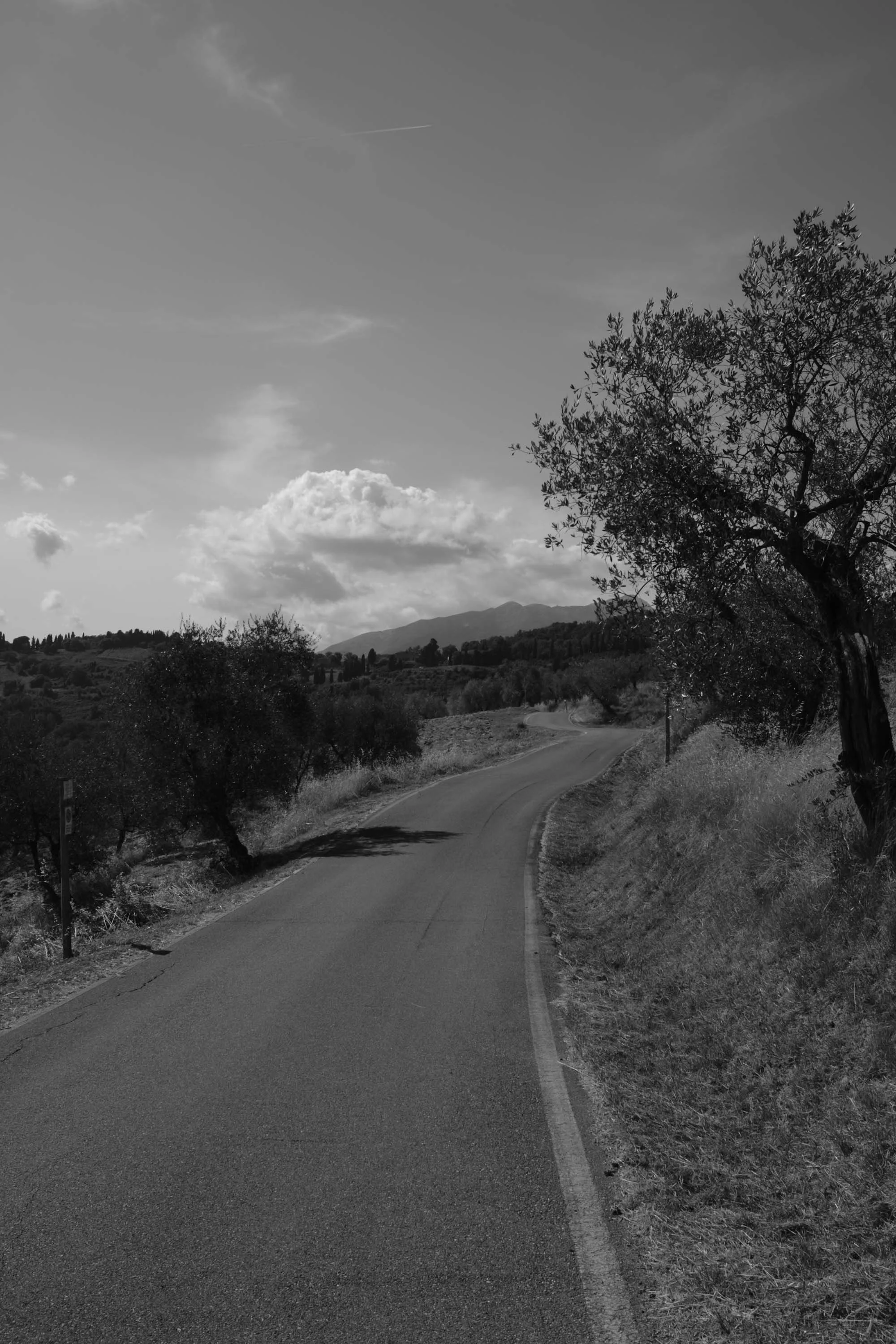 nicolas-denis-portfolio-tenuta-di-forci-2025-23.jpeg