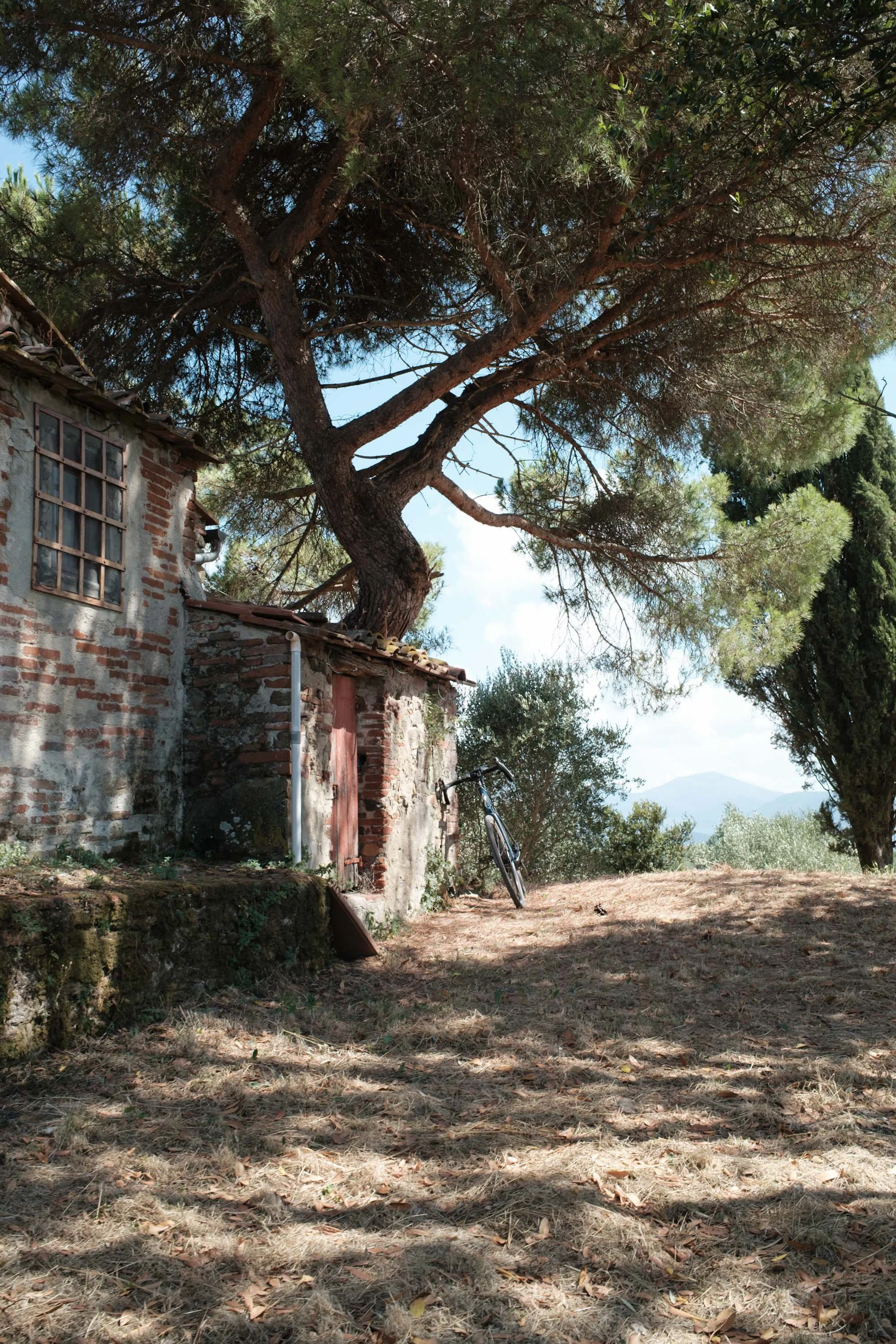 nicolas-denis-portfolio-tenuta-di-forci-2025-21.jpeg