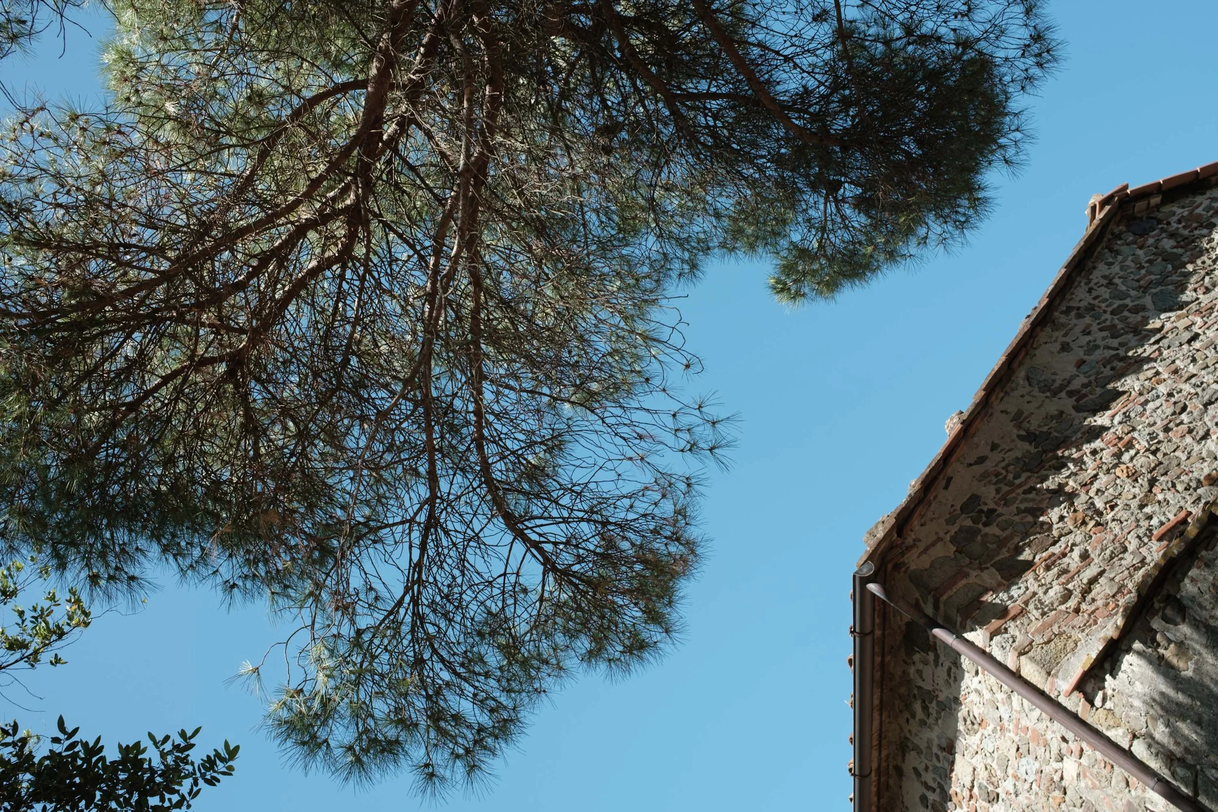 nicolas-denis-portfolio-tenuta-di-forci-2025-19.jpeg