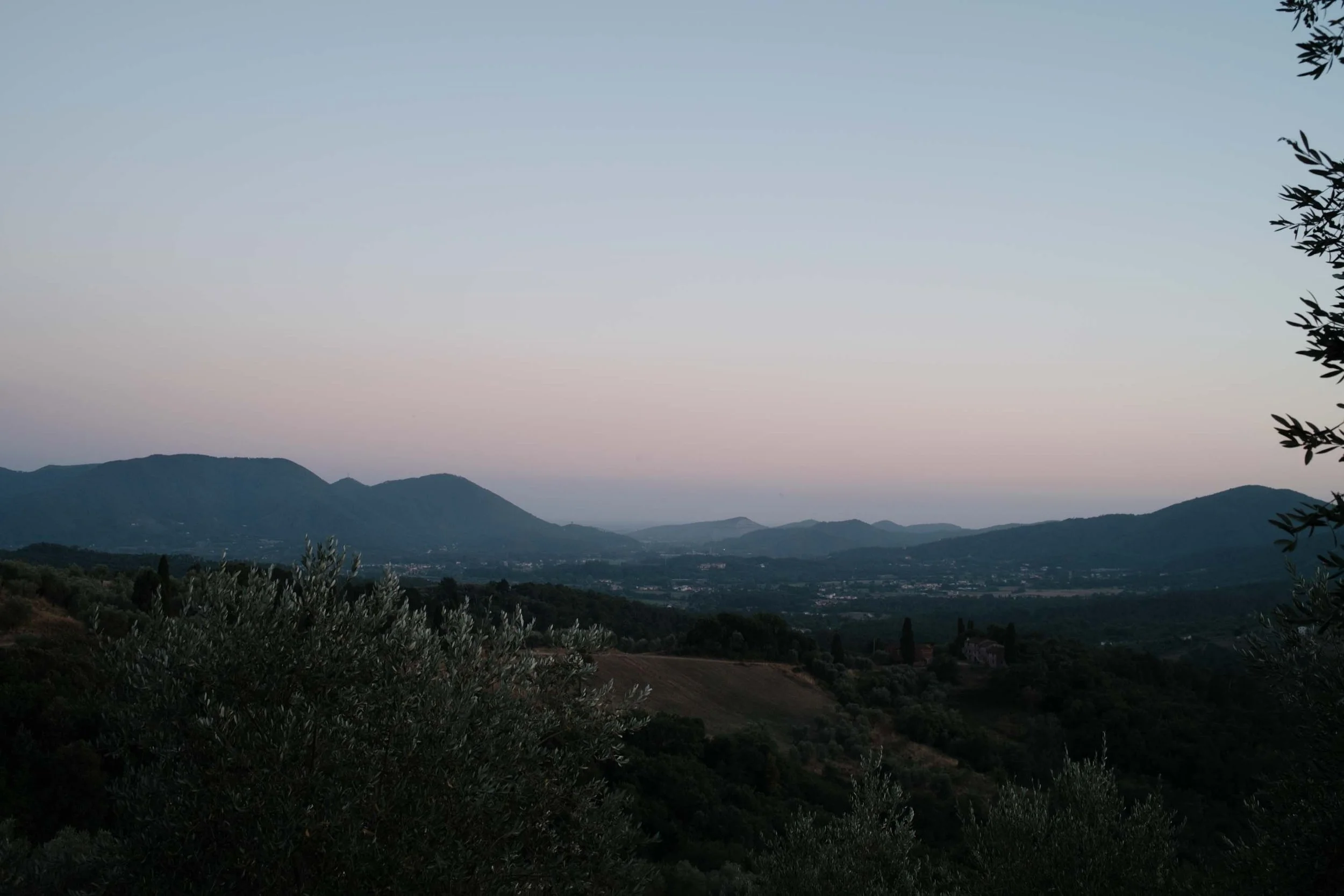 nicolas-denis-portfolio-tenuta-di-forci-2025-12.jpeg