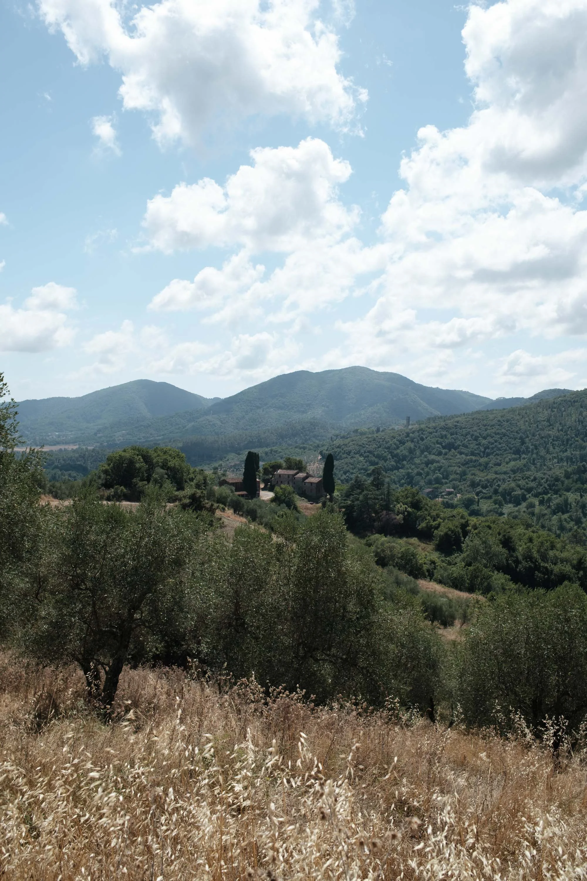 nicolas-denis-portfolio-tenuta-di-forci-2025-18.jpeg