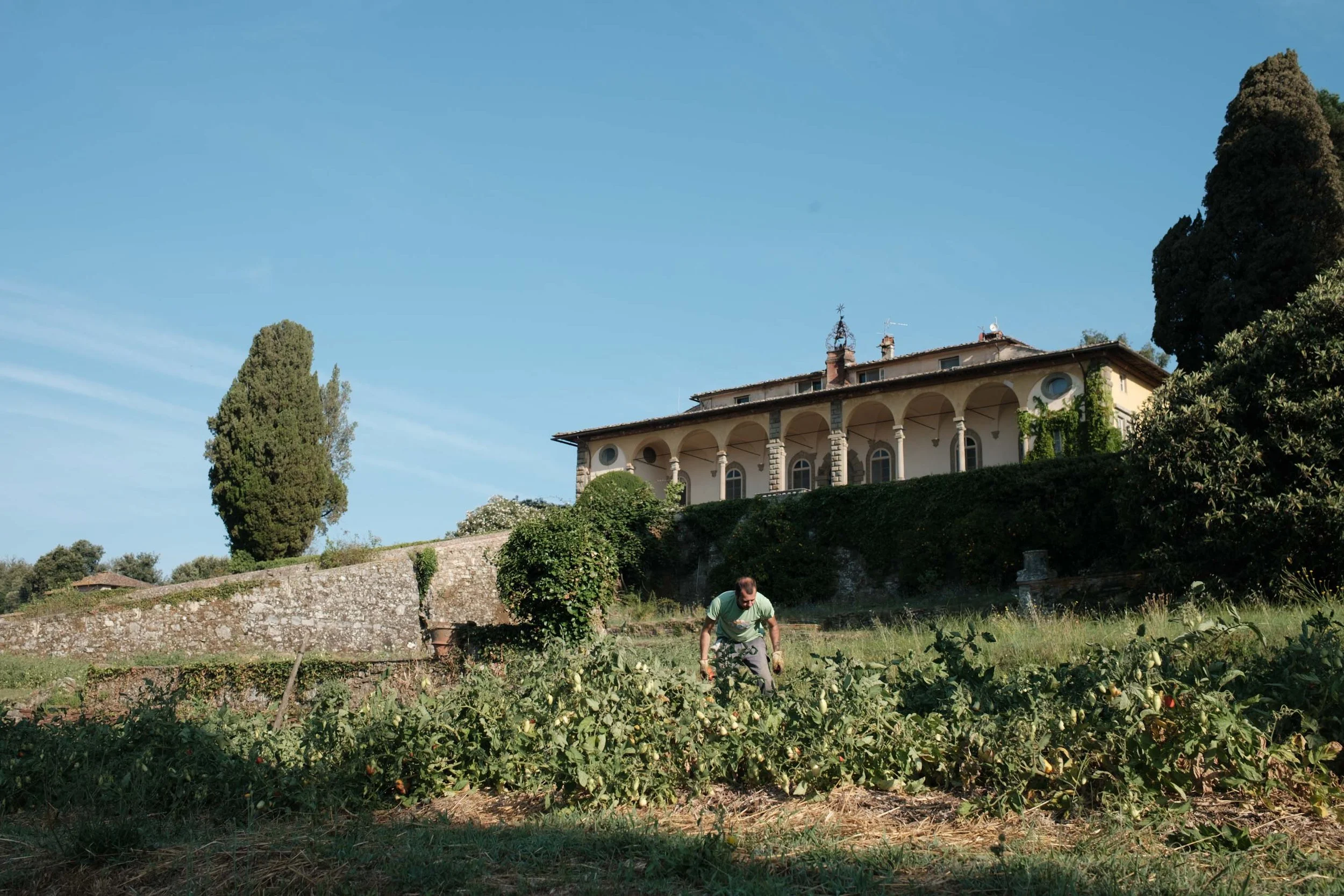 nicolas-denis-portfolio-tenuta-di-forci-2025-06.jpeg