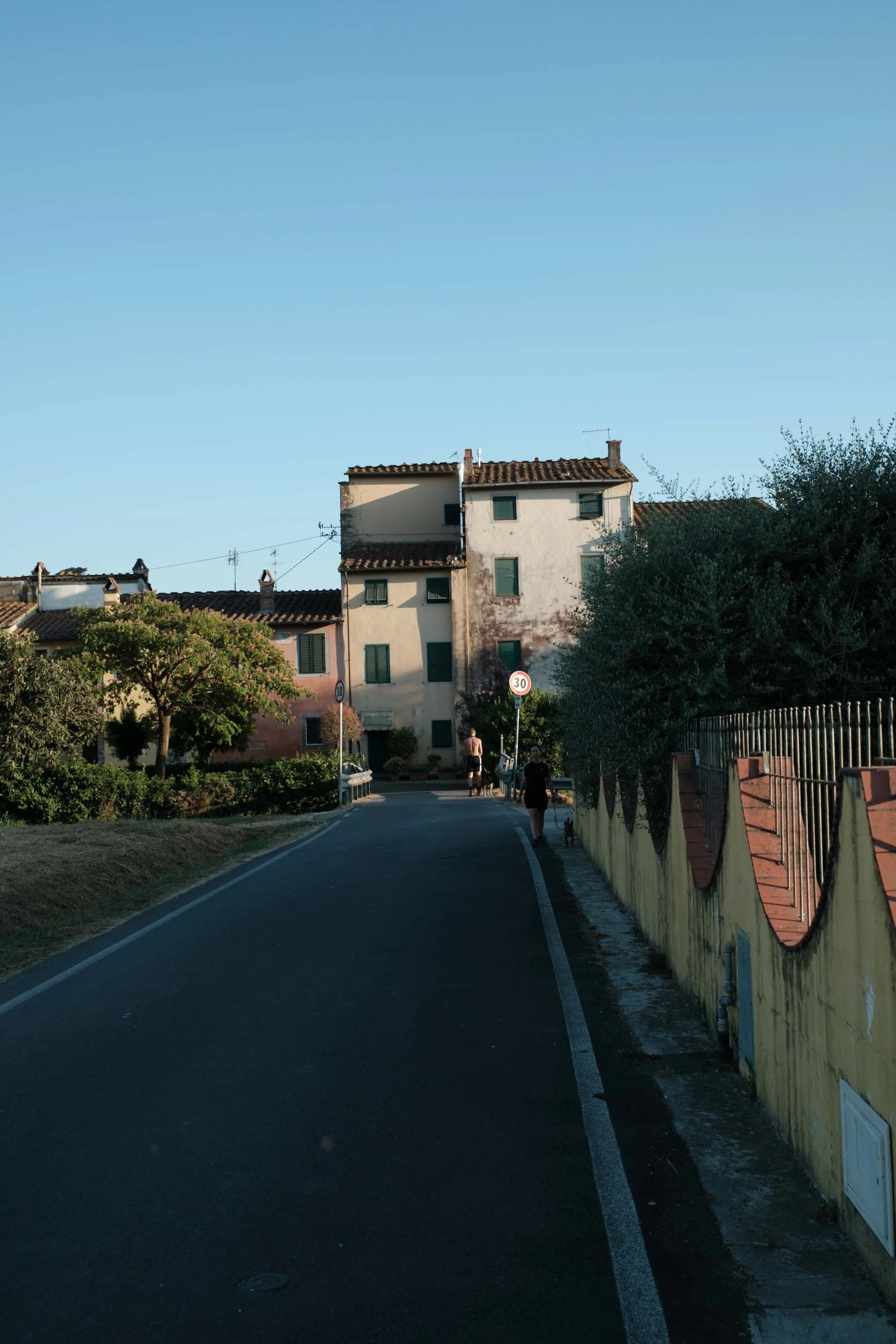 nicolas-denis-portfolio-tenuta-di-forci-2025-08.jpeg