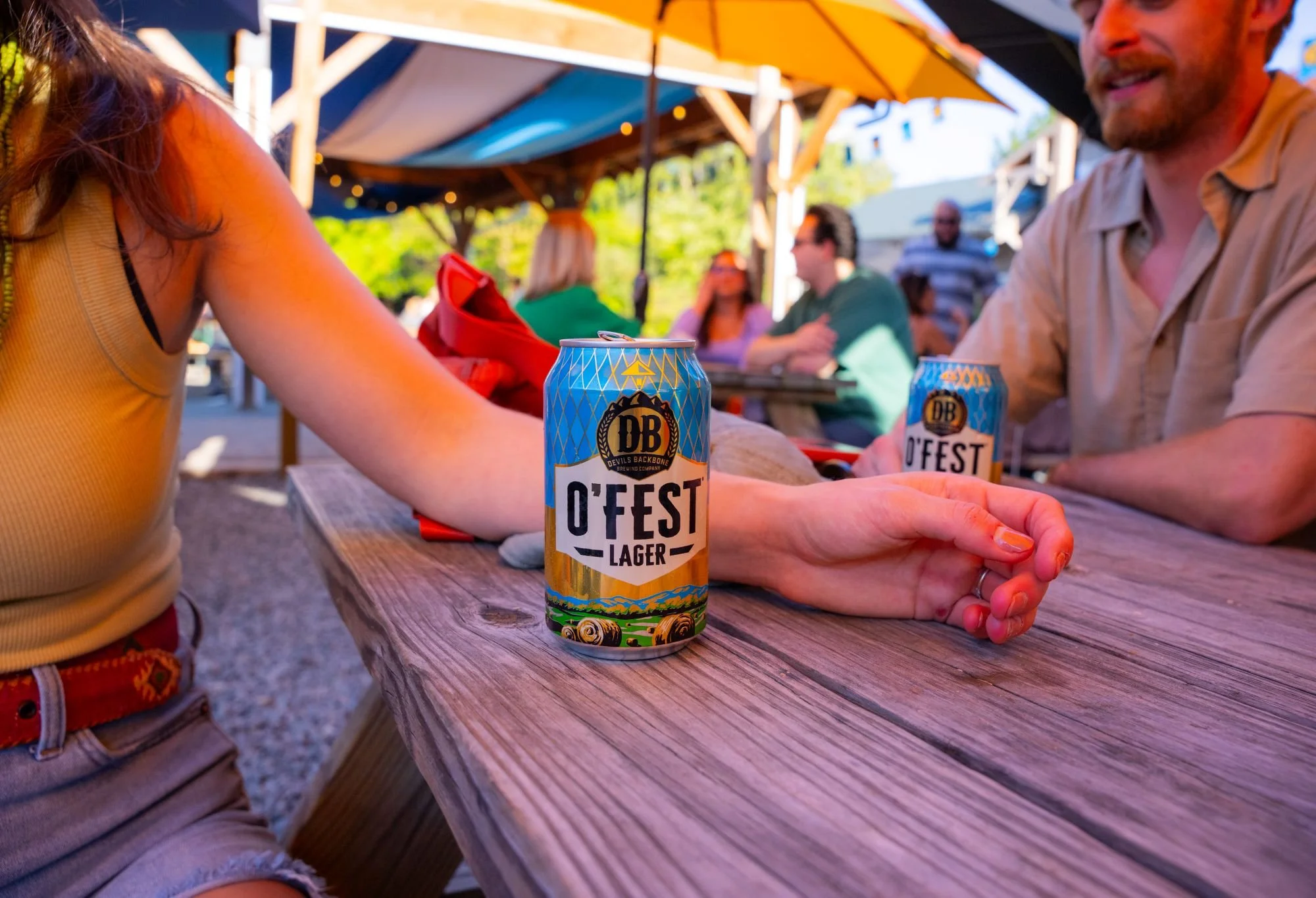 ofest-gallery-5.jpg