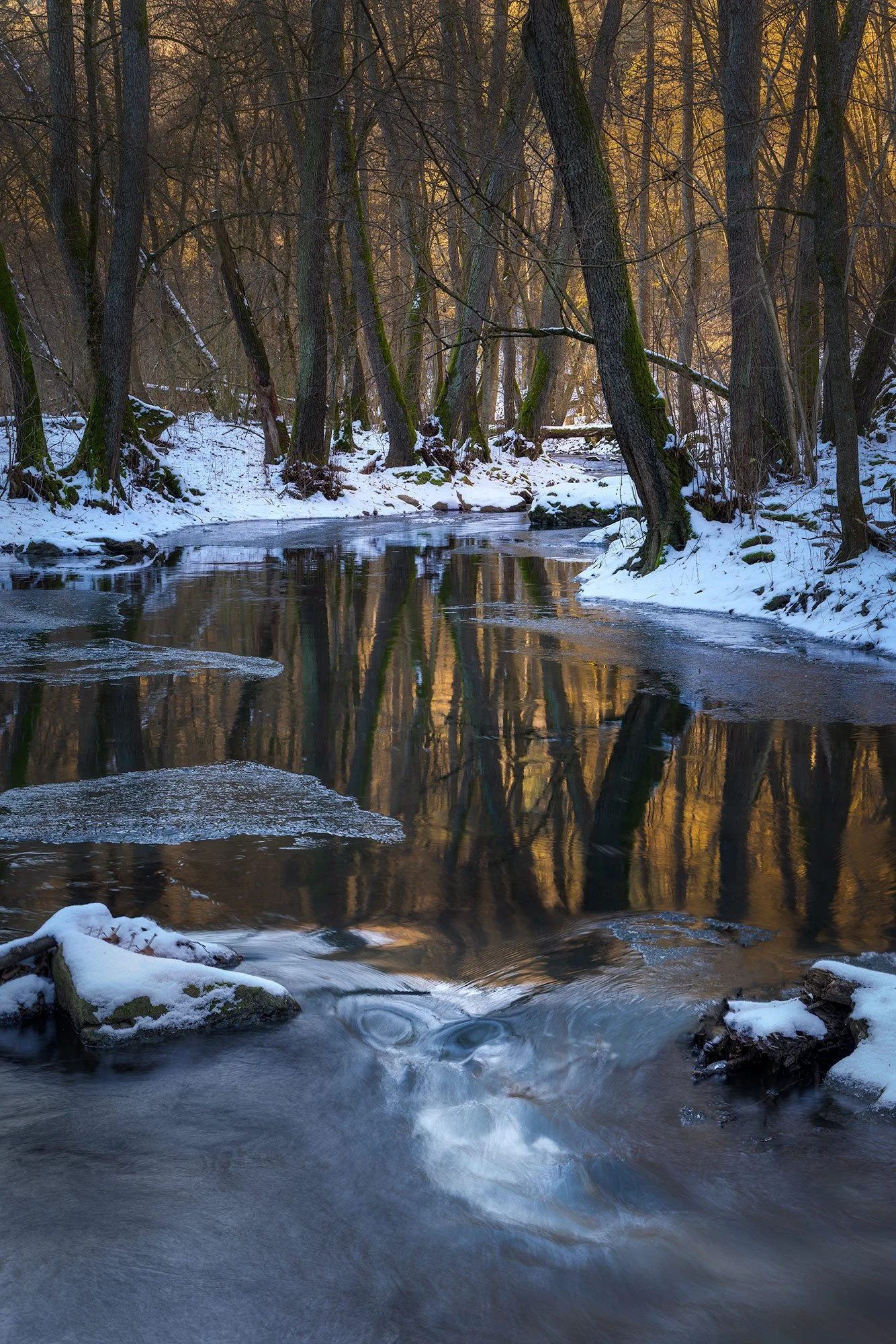 Zolo-Demjan-20260104-Jablonka 2.jpg