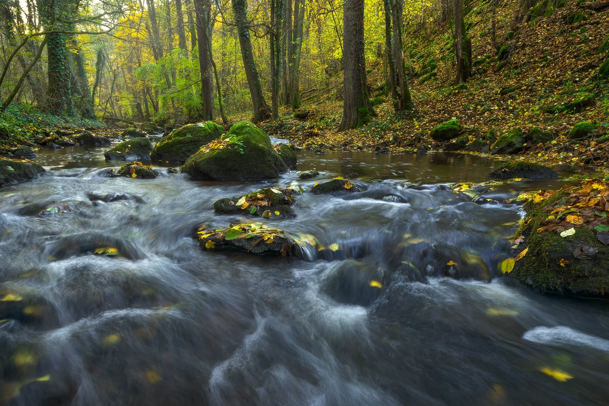 Zolo Demjan-20251030-20-57-25 .jpg