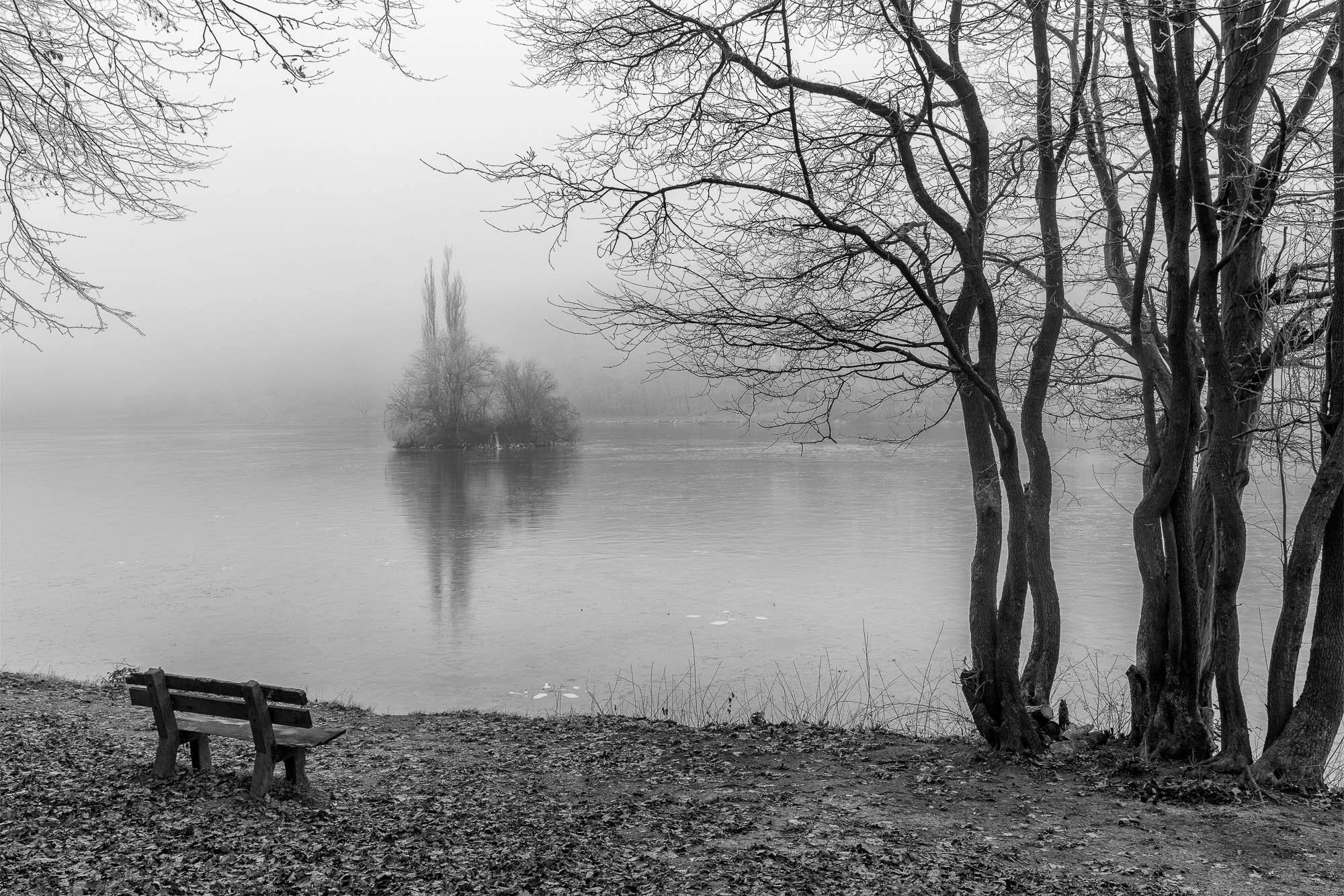 Zolo Demjan-20251129-16-00-41 .jpg