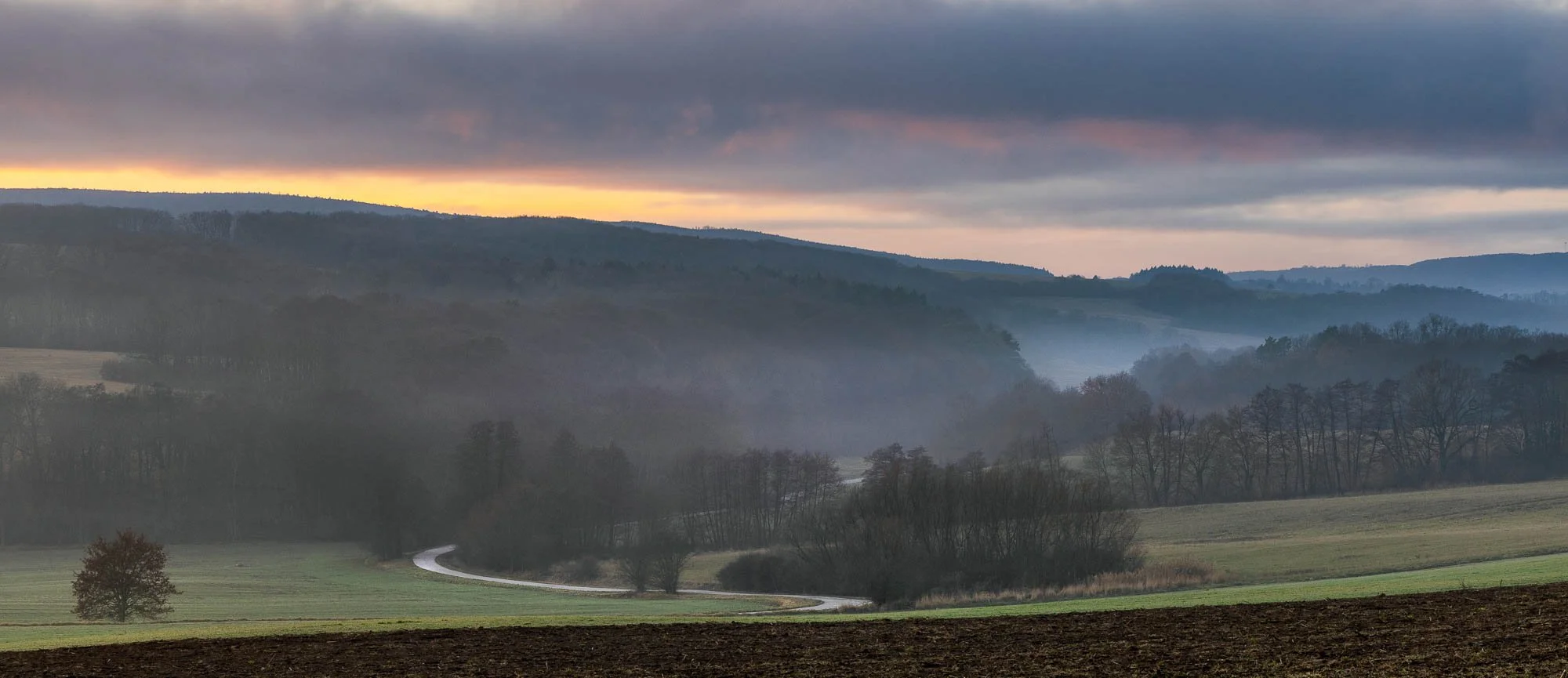 Zolo Demjan-20251129-20-31-42 .jpg