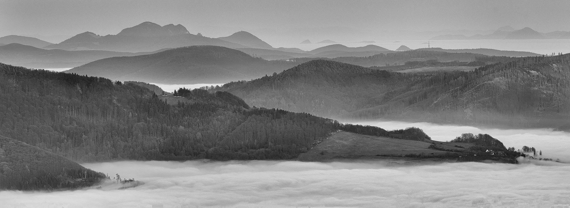 Zolo-Demjan-20251218-Z Velkewj Javoriny B&W.jpg