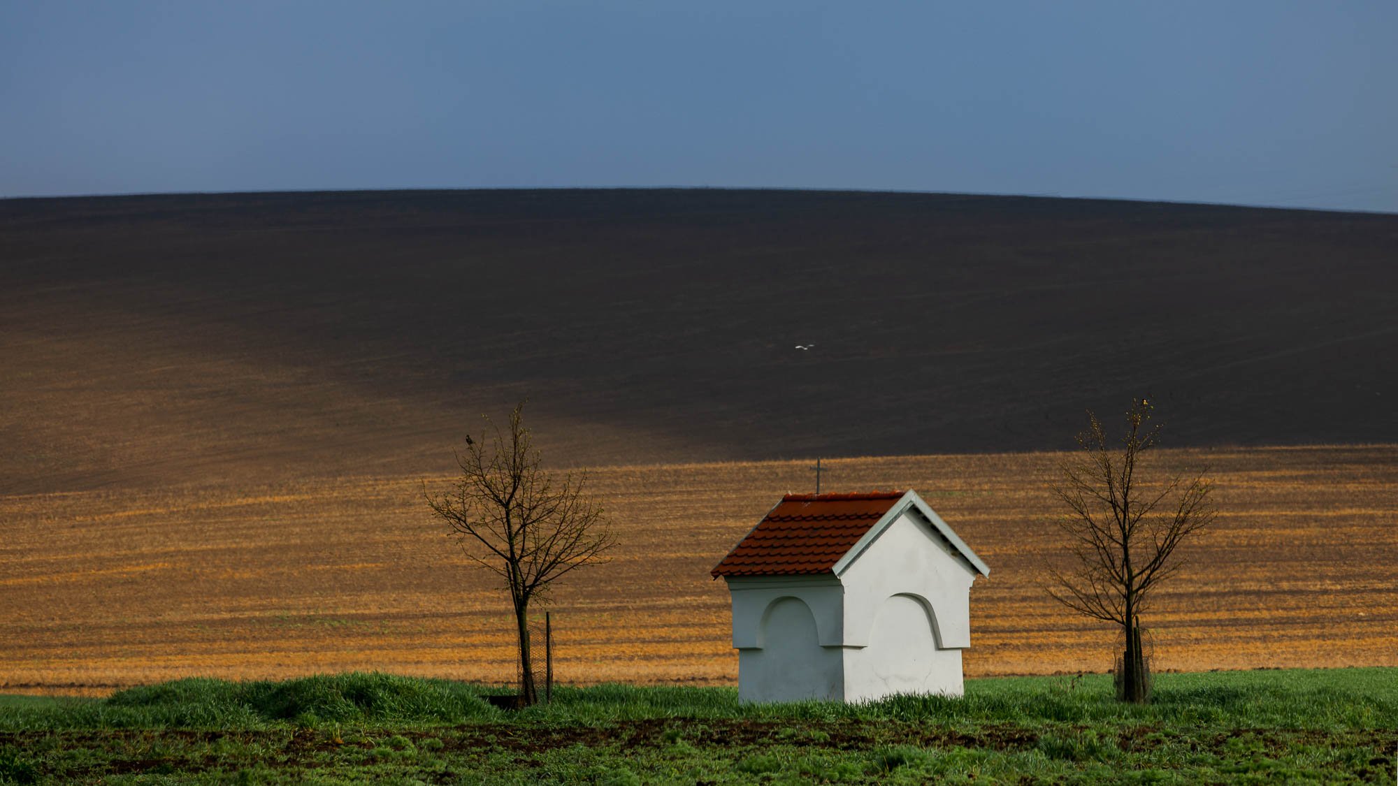 Zolo Demjan-20250419-11-53-00_.jpg