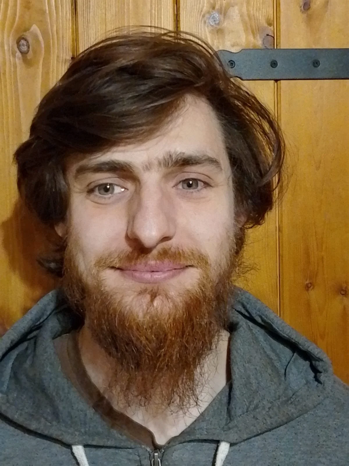 Portrait of a young man with brown hair and a reddish beard, wearing a gray hoodie, standing against a wooden background.