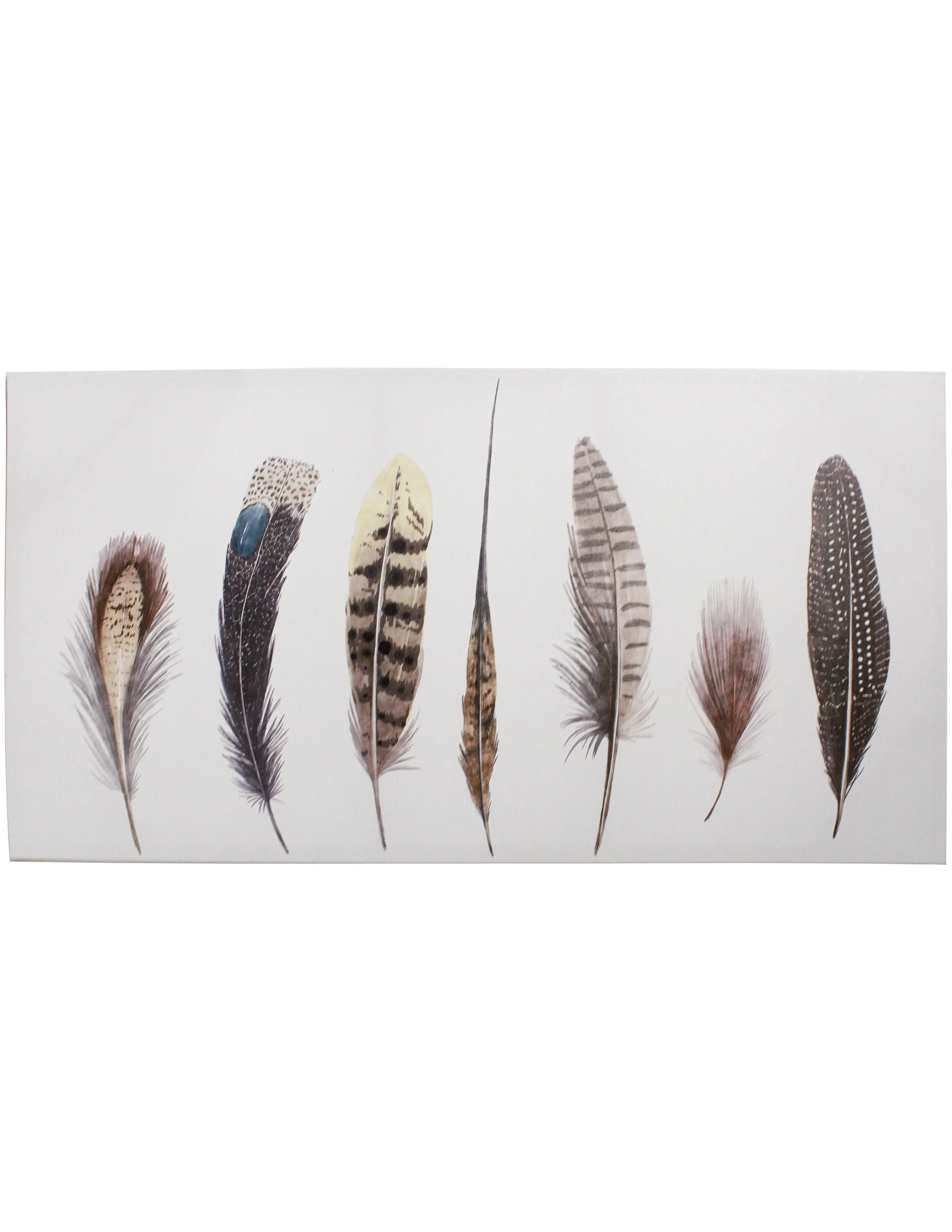 Feather Weather - AW205 (18" x 36")