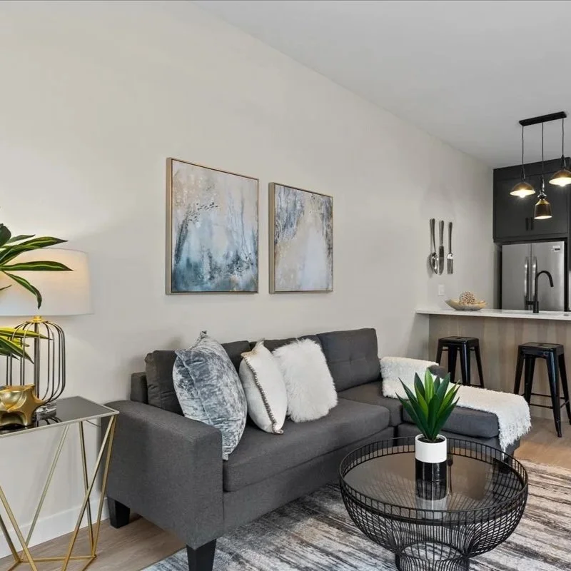 White Furry Accent Pillow - AP770