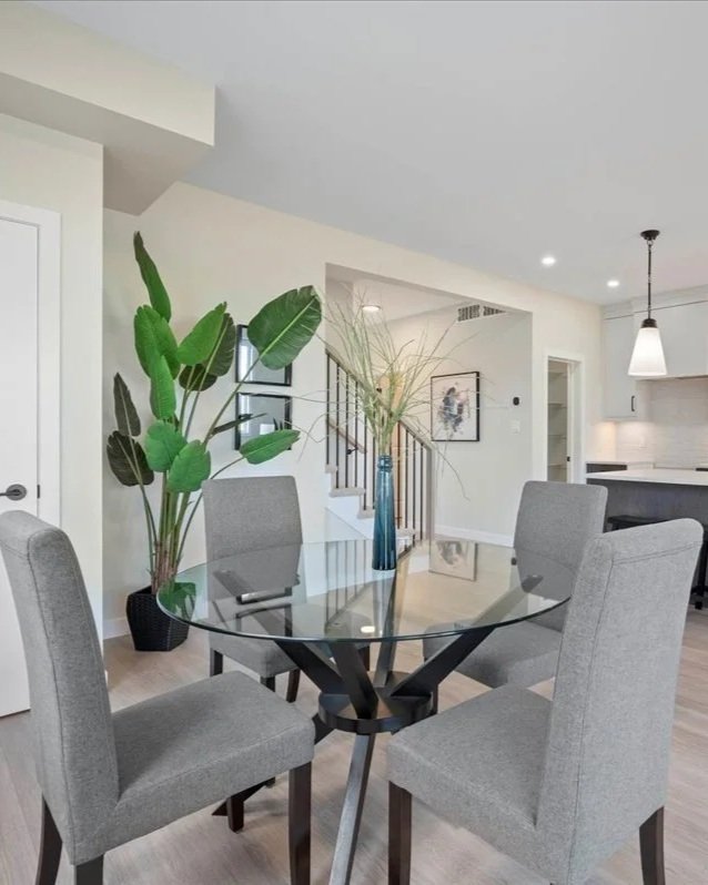 Skeleton Fork Fern - BT189