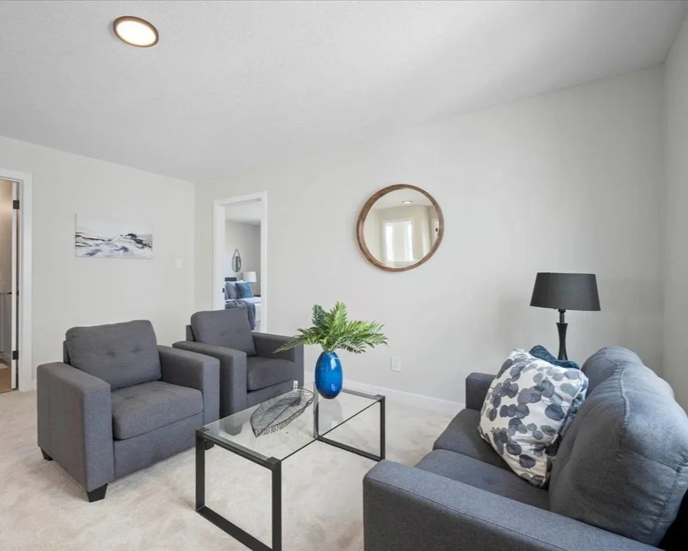 Cardboard Palm - BT89