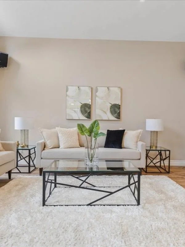 Black Velvet Geometric Patterned Accent Pillow - AP329