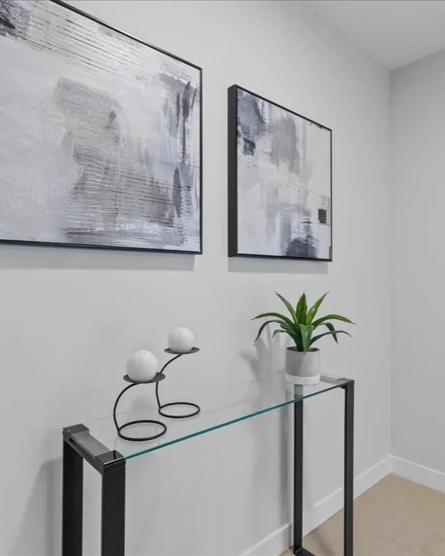 Agave Grey and White Potted Plant - BT323
