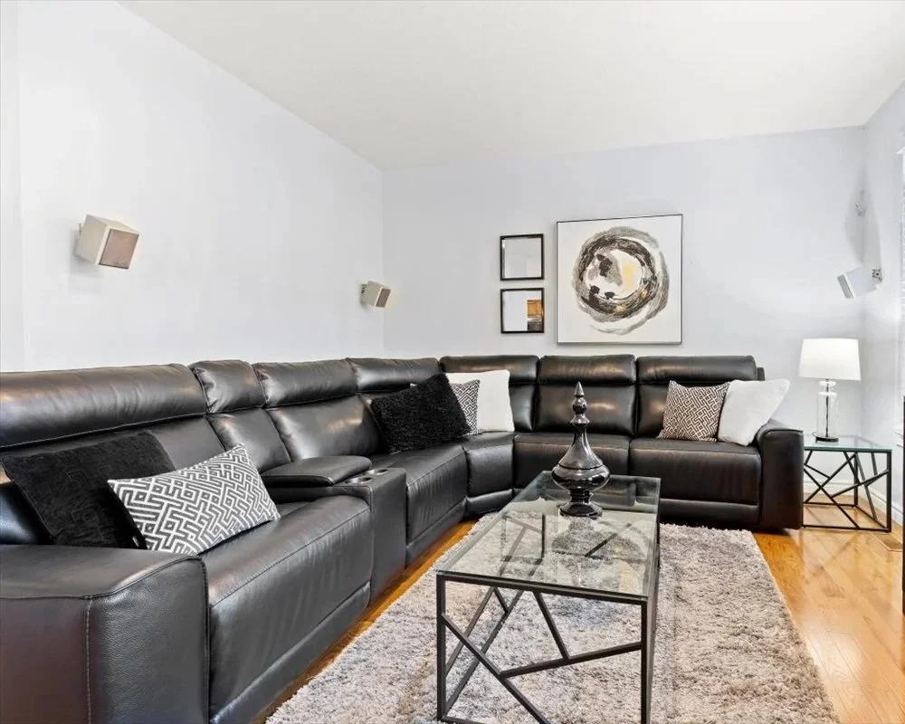 Black Faux Fur Accent Pillow - AP811