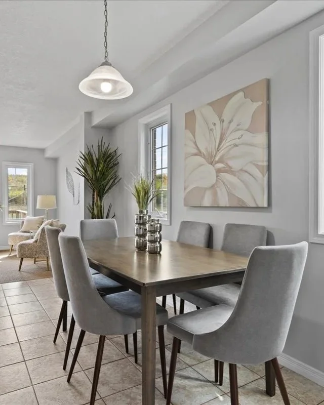 Spider Plant - BT134