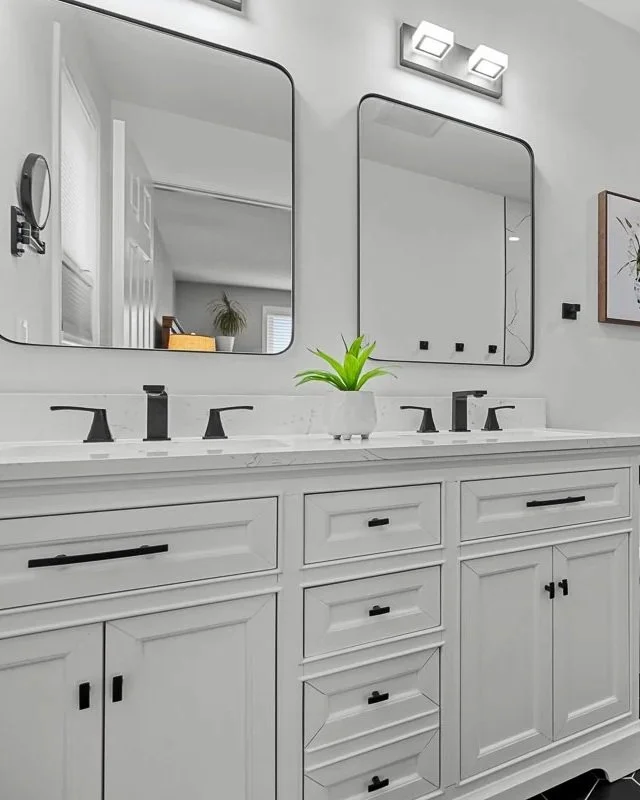 Bush Lily White Potted Plant - BT37