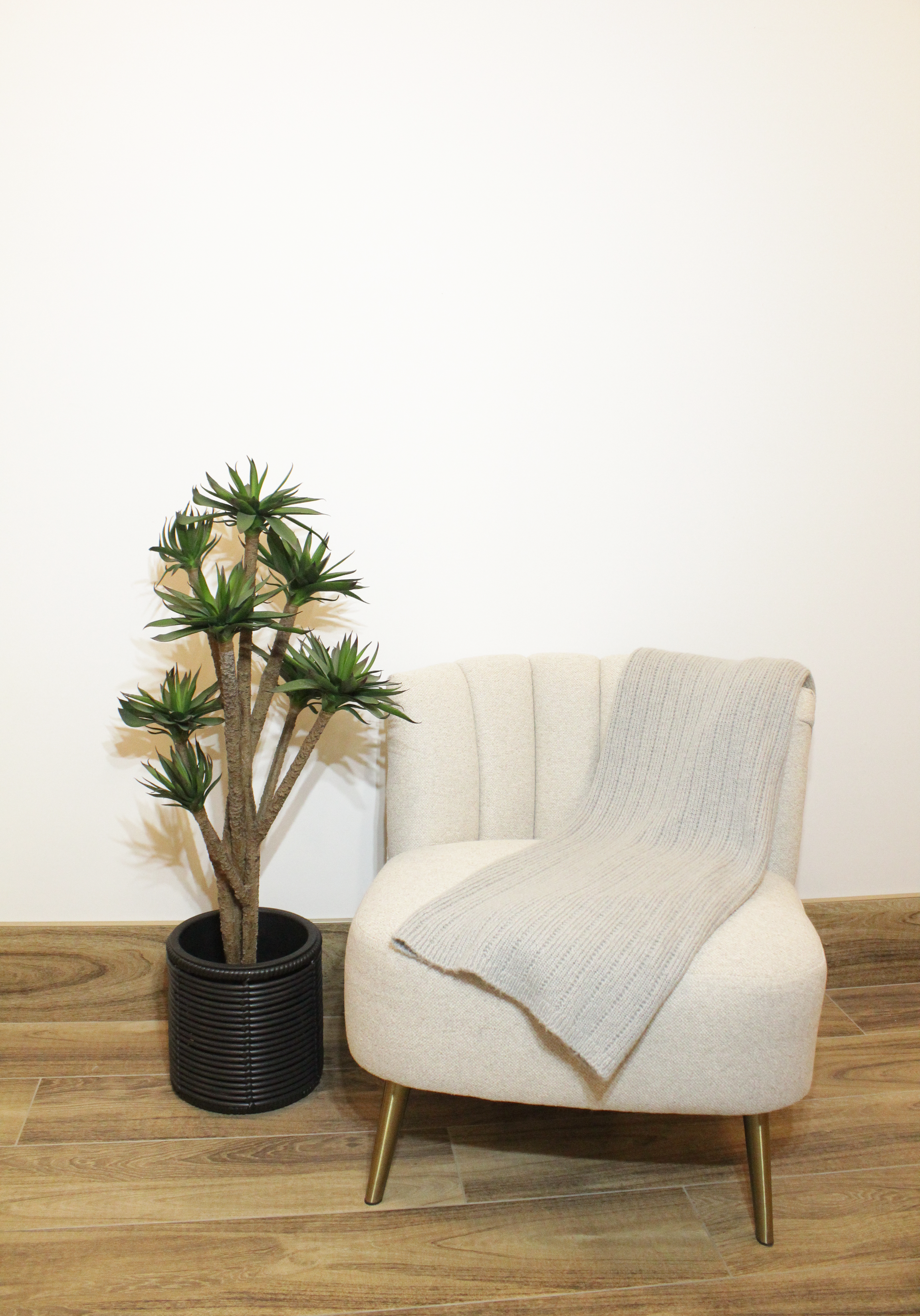 Agave Twist Tree - FP33