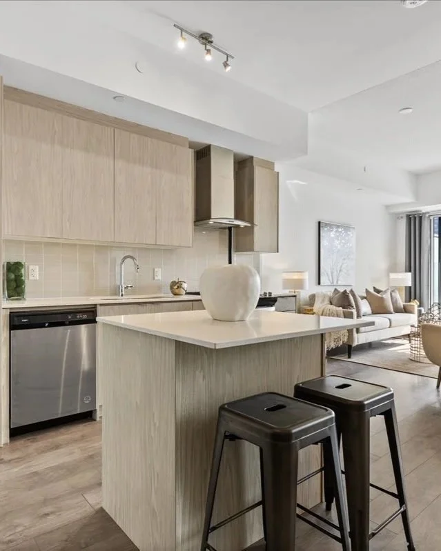 Matte White Stoneware Decorative Accessory - DA327