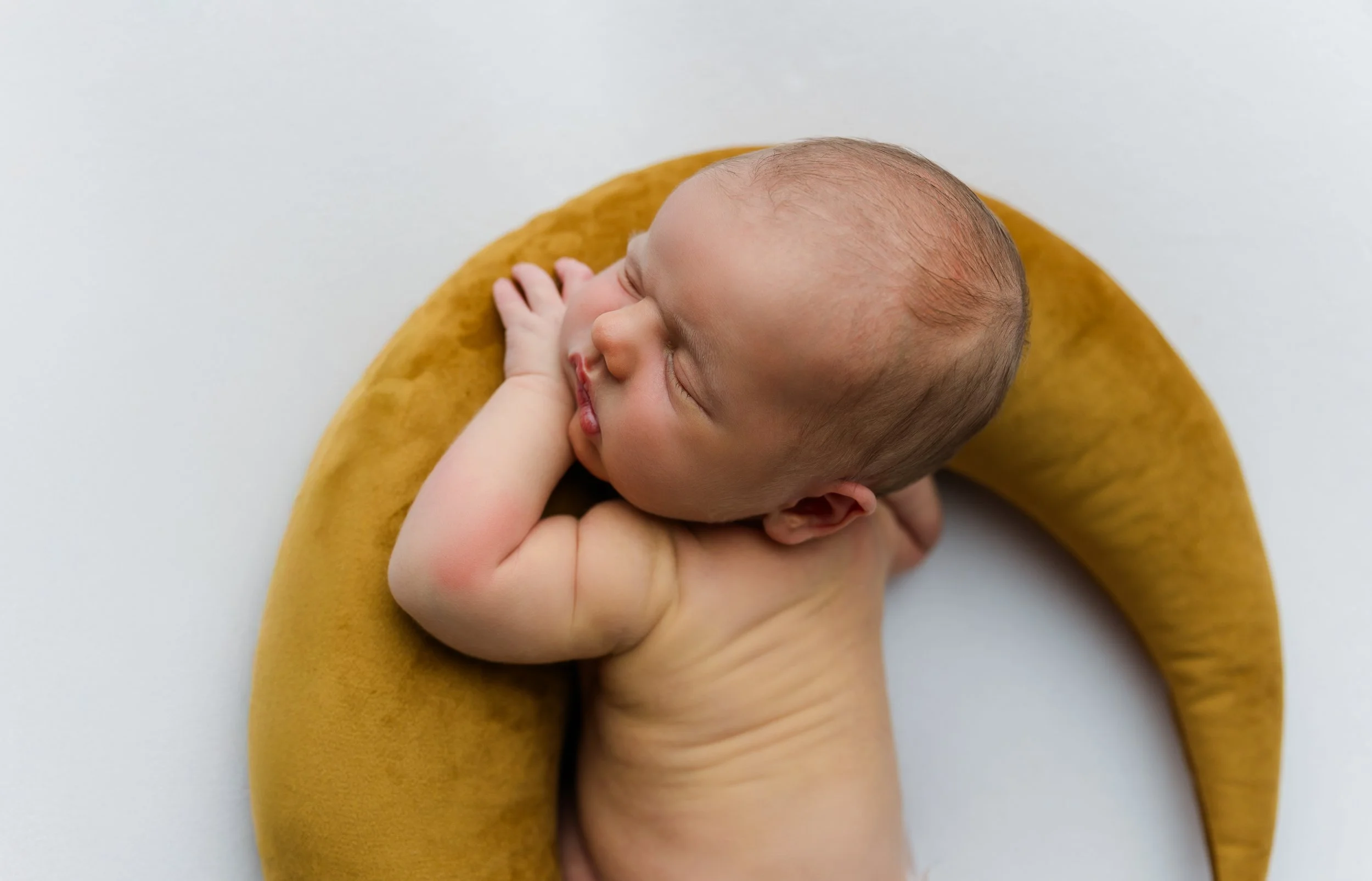 untitled (42 of 52).jpg