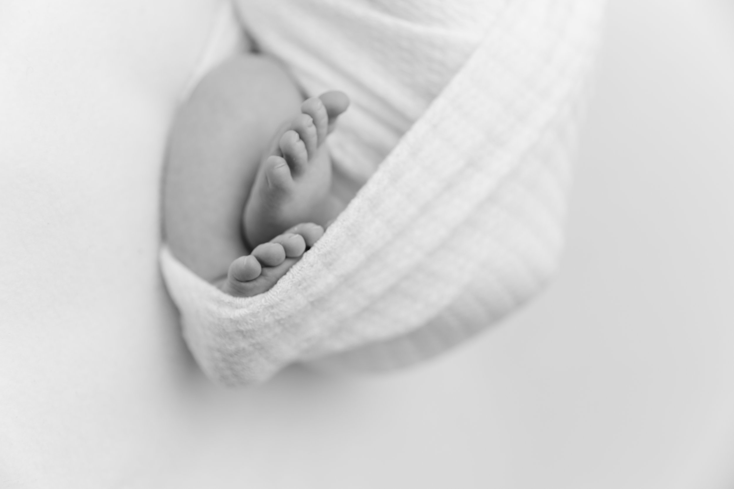 untitled (30 of 52).jpg