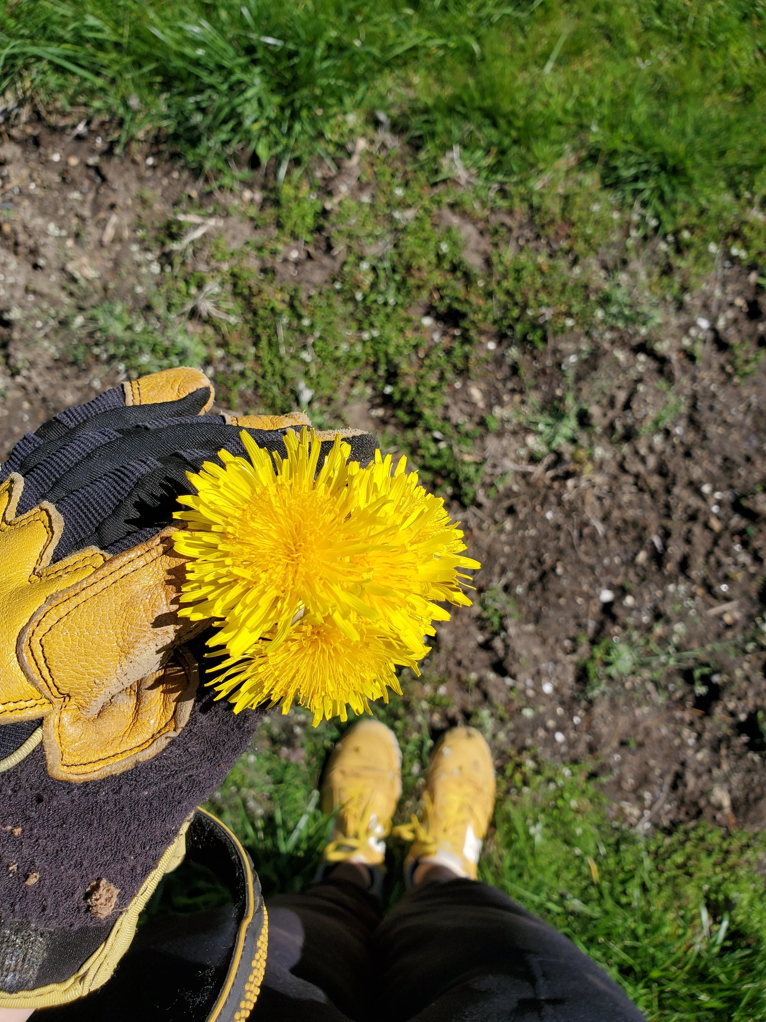 20210501_152356.jpg