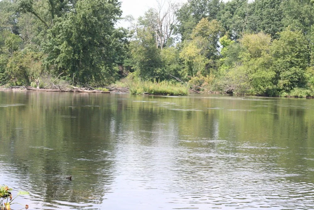 Property Tax Administration & Assessment — Marshall Township Calhoun