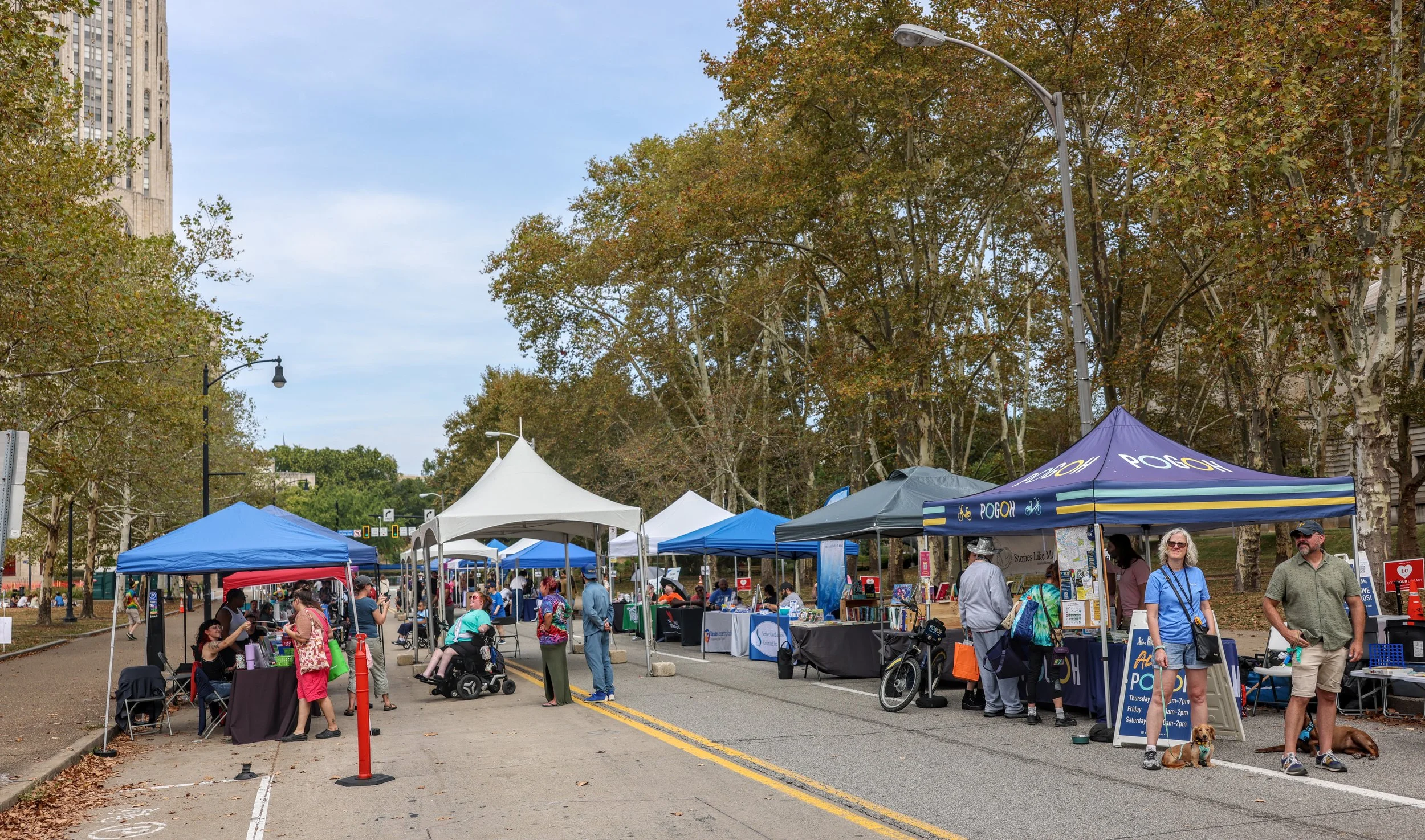 Disability Pride PA festival with vendor tents and diverse attendees.