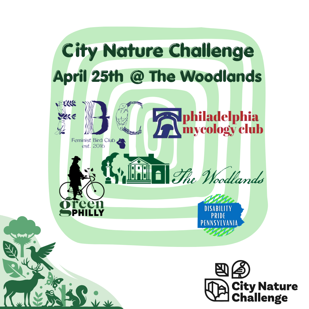 City Nature Challenge Bioblitz
