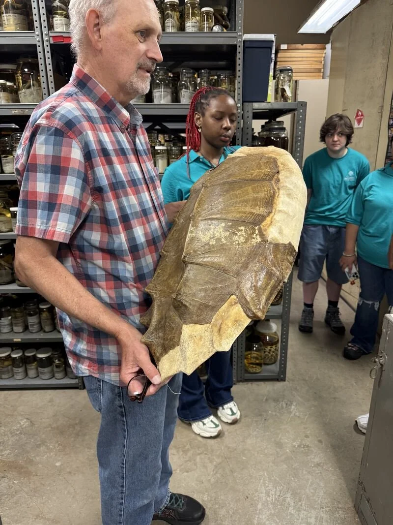 Man holding a large turtle shell with people watching on