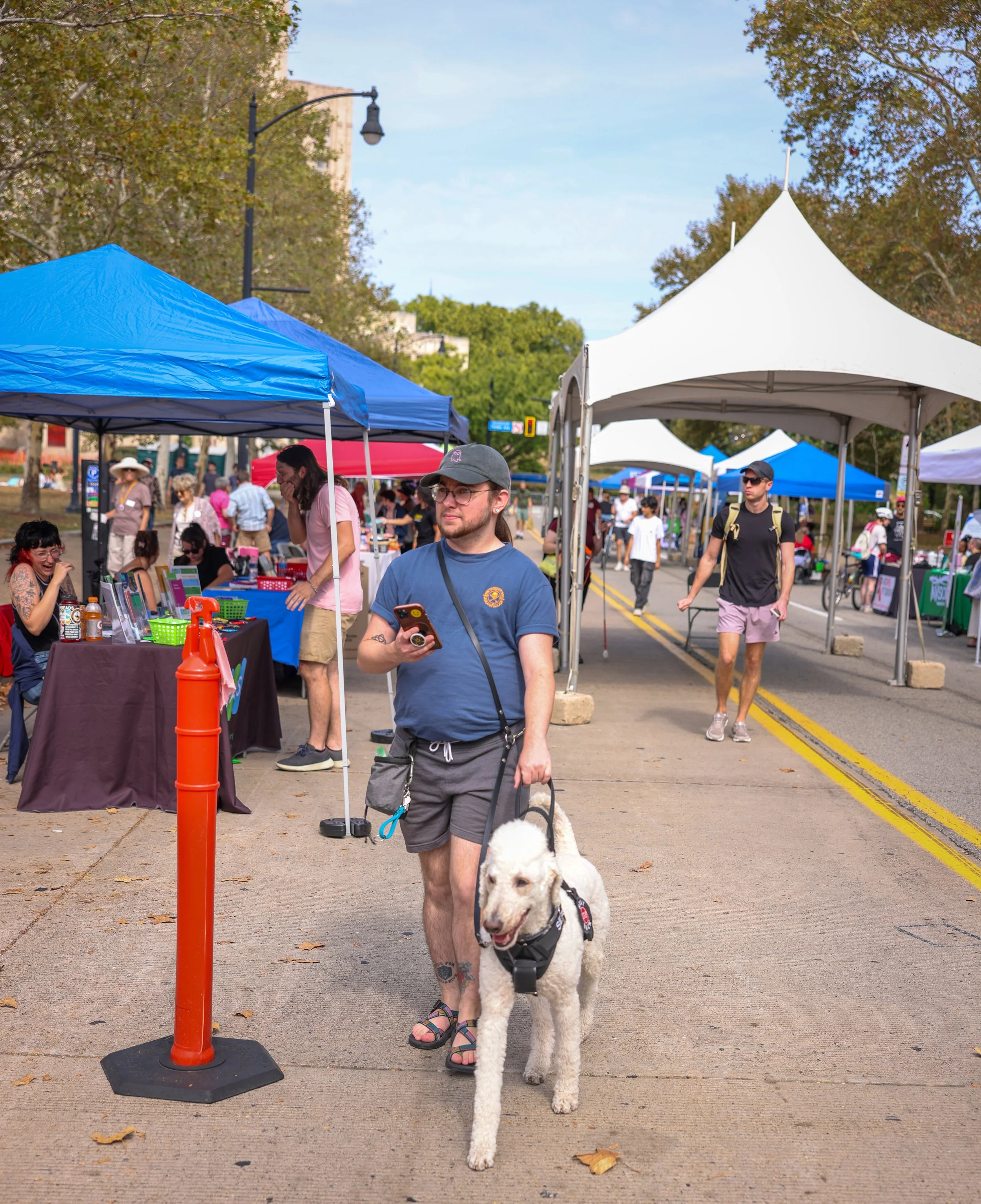 Man with white service dog walking through festival street