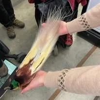 beautiful long feather in creams and reds being held in front of a crowd
