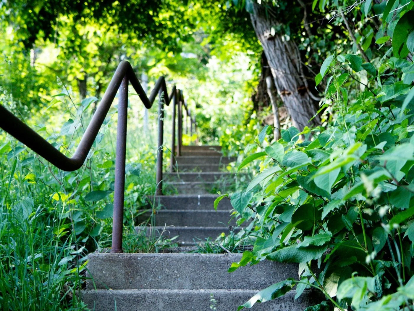 The Steps up Vineyard Hill