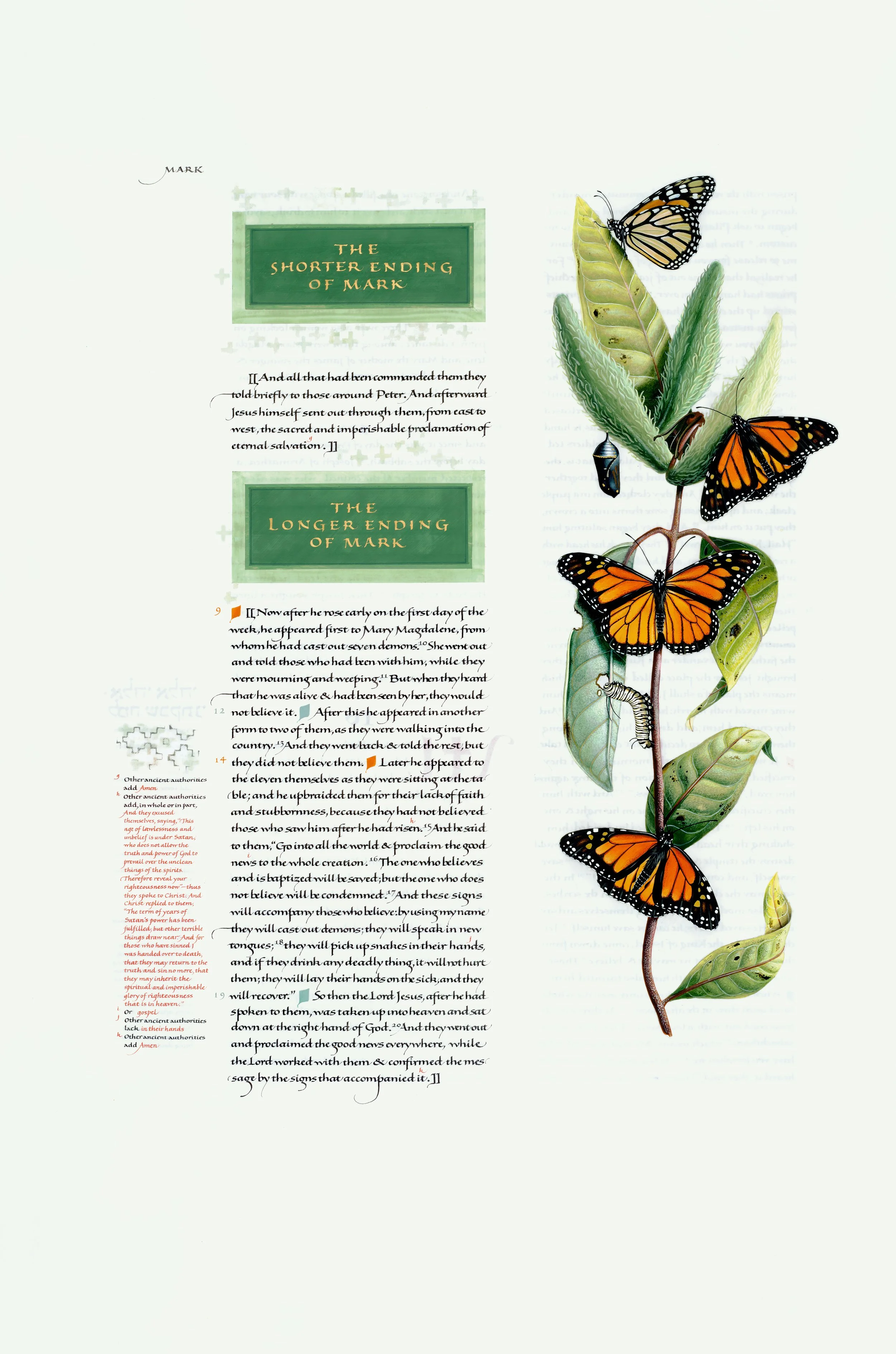 Milkweed and Butterfly.jpg