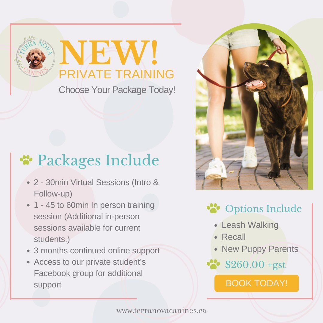 🚨NEW - PRIVATE TRAINING PACKGES🚨⁠
⁠
🌟Choose from:⁠
- Leash Walking⁠
- Recall⁠
- New Puppy Parents⁠
⁠
🌟Packages Include:⁠
- Two 30min Virtual Sessions (Intro &amp; Follow-up)⁠
- One 45 to 60min in-person training session (Additional in-person sess