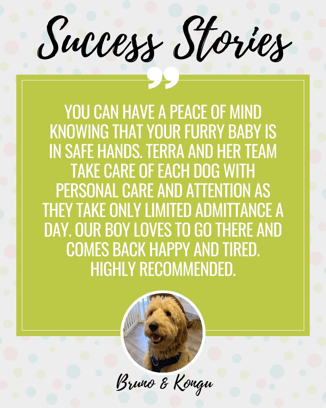We love sharing our pet parent's success stories! Hear what they have to say 🥰

.
.
.

#fraservalleydogs #fraservalley #fraservalleydogtraining #dogsofvancouver #dogsofsurrey #surreydogtraining #surreydogboarding #surrey #surreyBC #positivereinforce