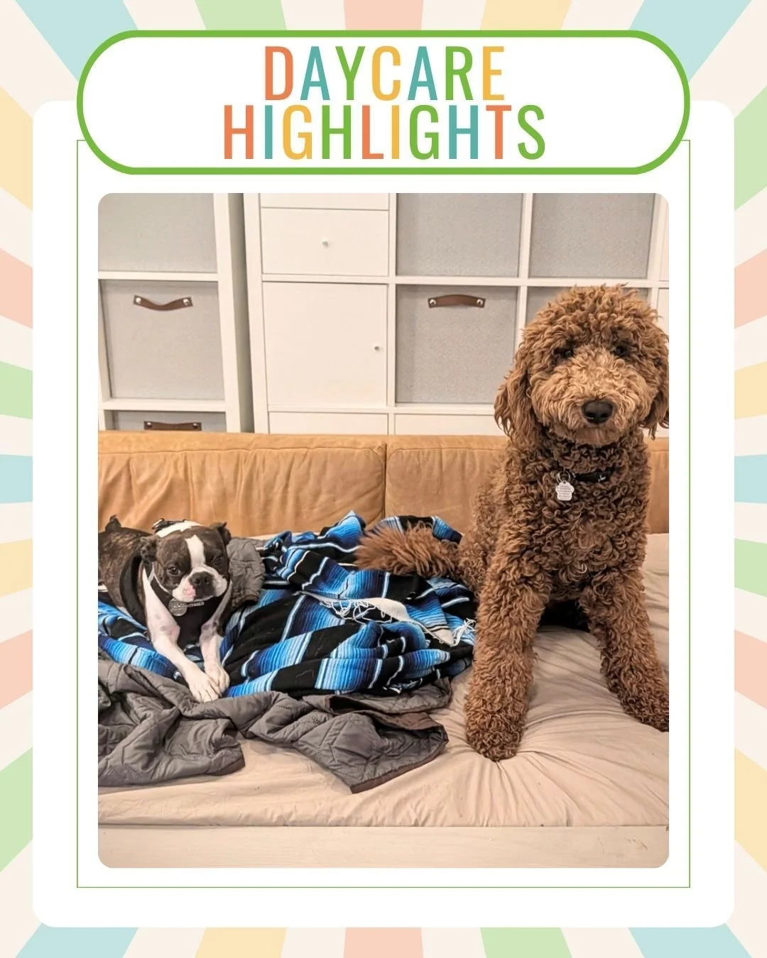 ❤️️

.
.
.

#surrey #SurreyBC #surreydogs #dogsofsurrey #surreydogdaycare #surreydogsitting #surreypetsitting #surreypetcare #surreypetservices #langley #LangleyBC #langleydogs #dogsoflangley #langleydogdaycare #langleydogsitting #langleypetsitting #